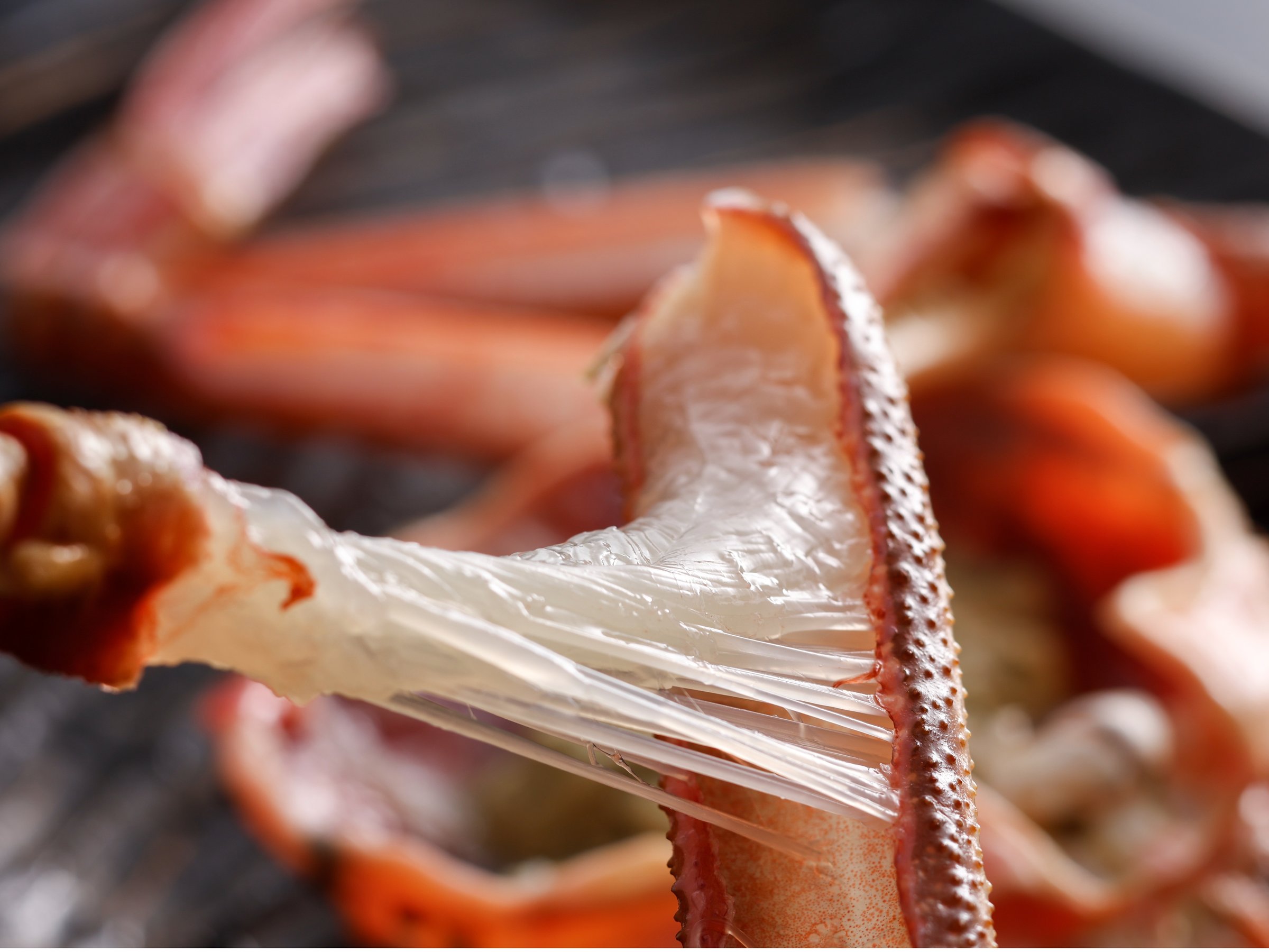 y~Ez~̖ỏlutKjṽJjh͑@ۂB