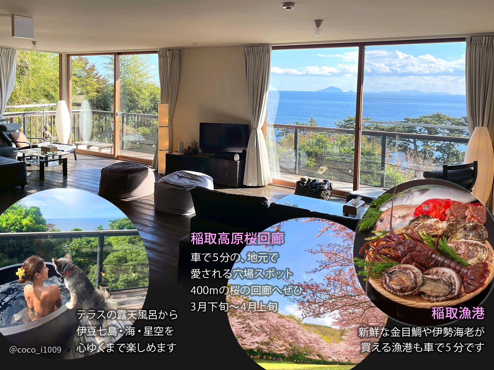 �I�V���C����������C������C�������܂��B