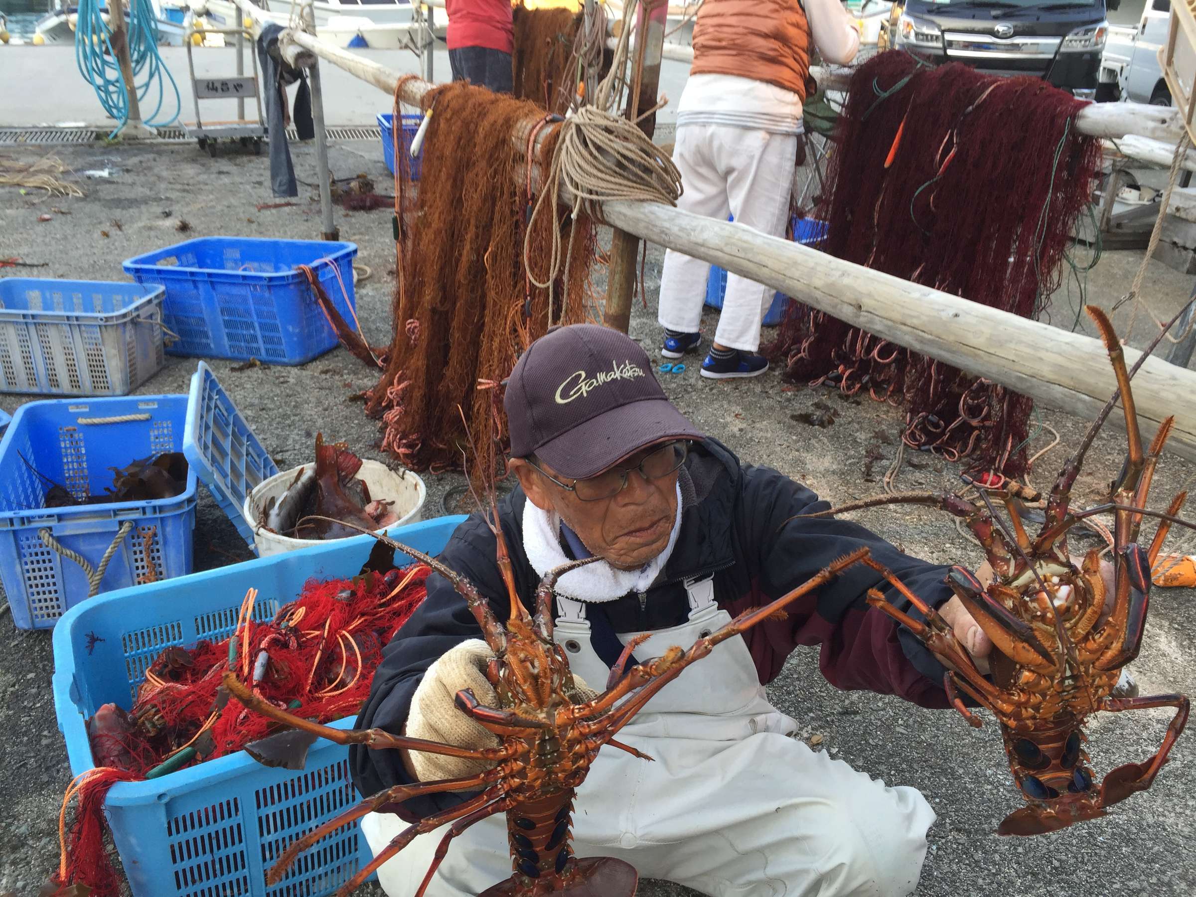 �ɐ����ы�