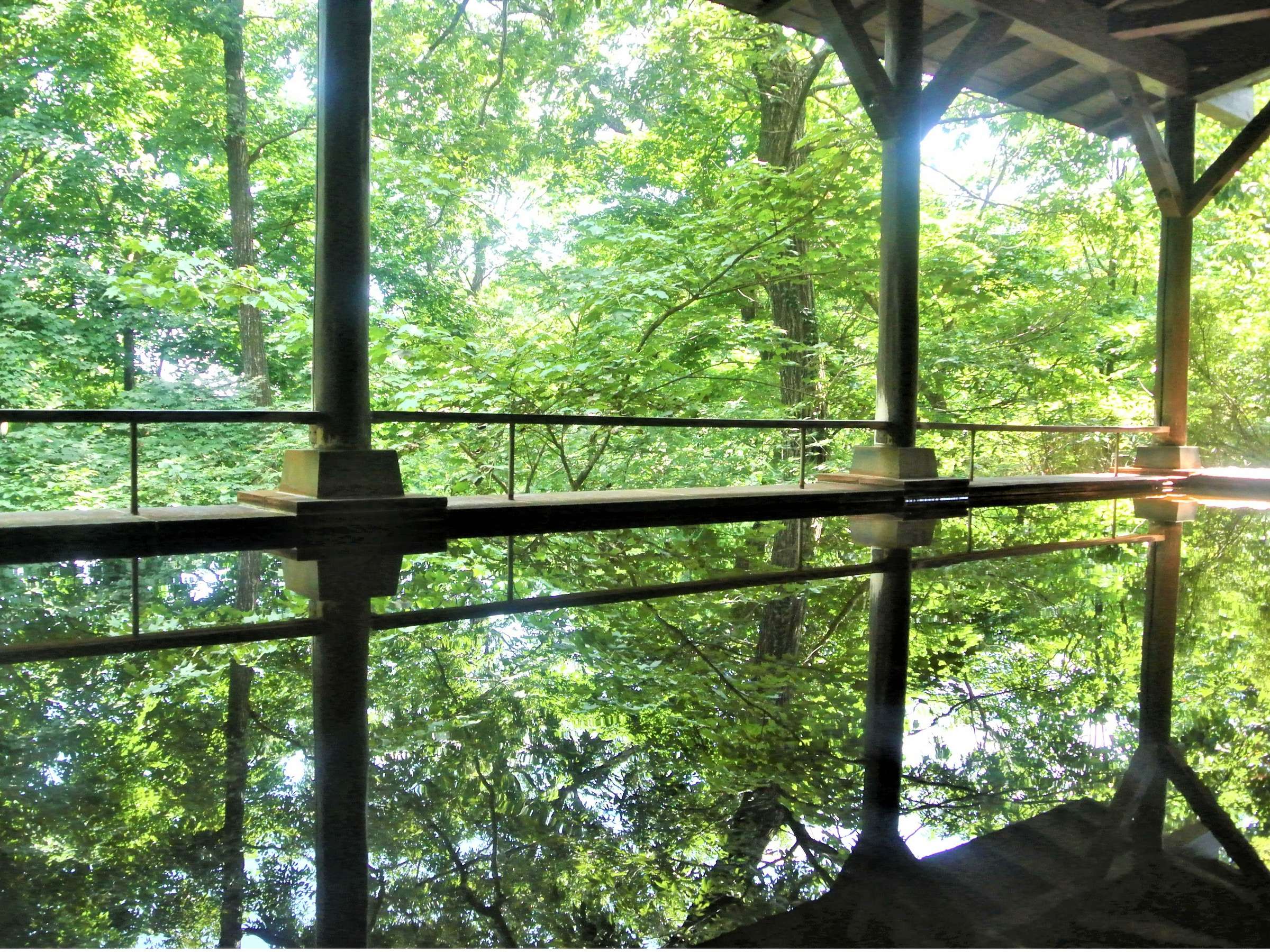 ���嗁�ꁡ�`�X�̒��̘I�V���C�`