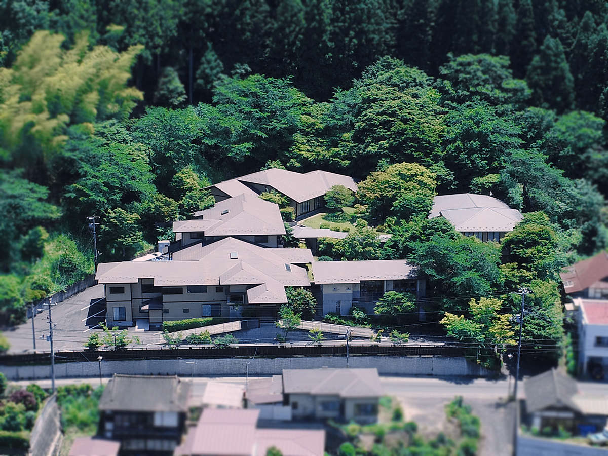 �Â��Ȋ��̍L��ȕ~�n�Ɍ��ꌬ�h