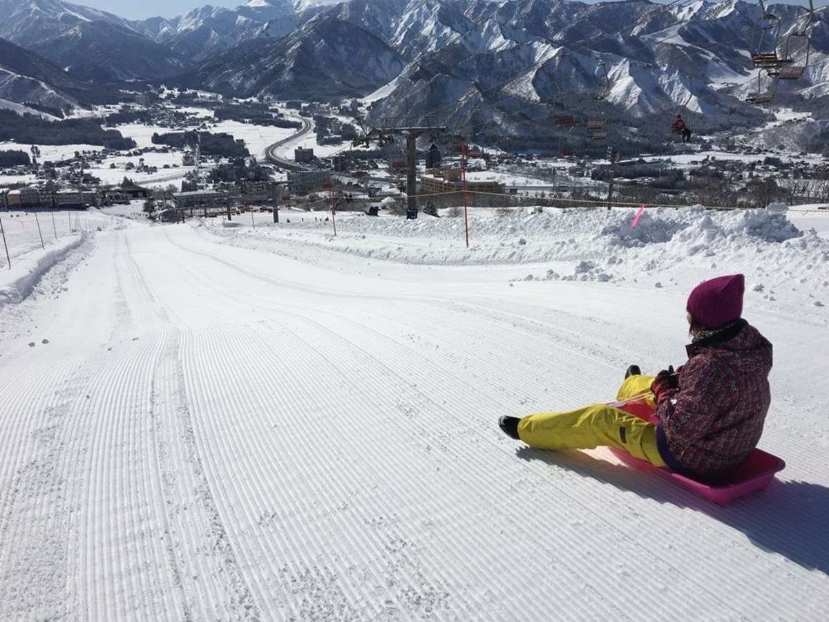 *�⌴�����X�L�[��/��V�т��y���߂�̂ŁA���q�l�A��⏉�S�҂̕������S��