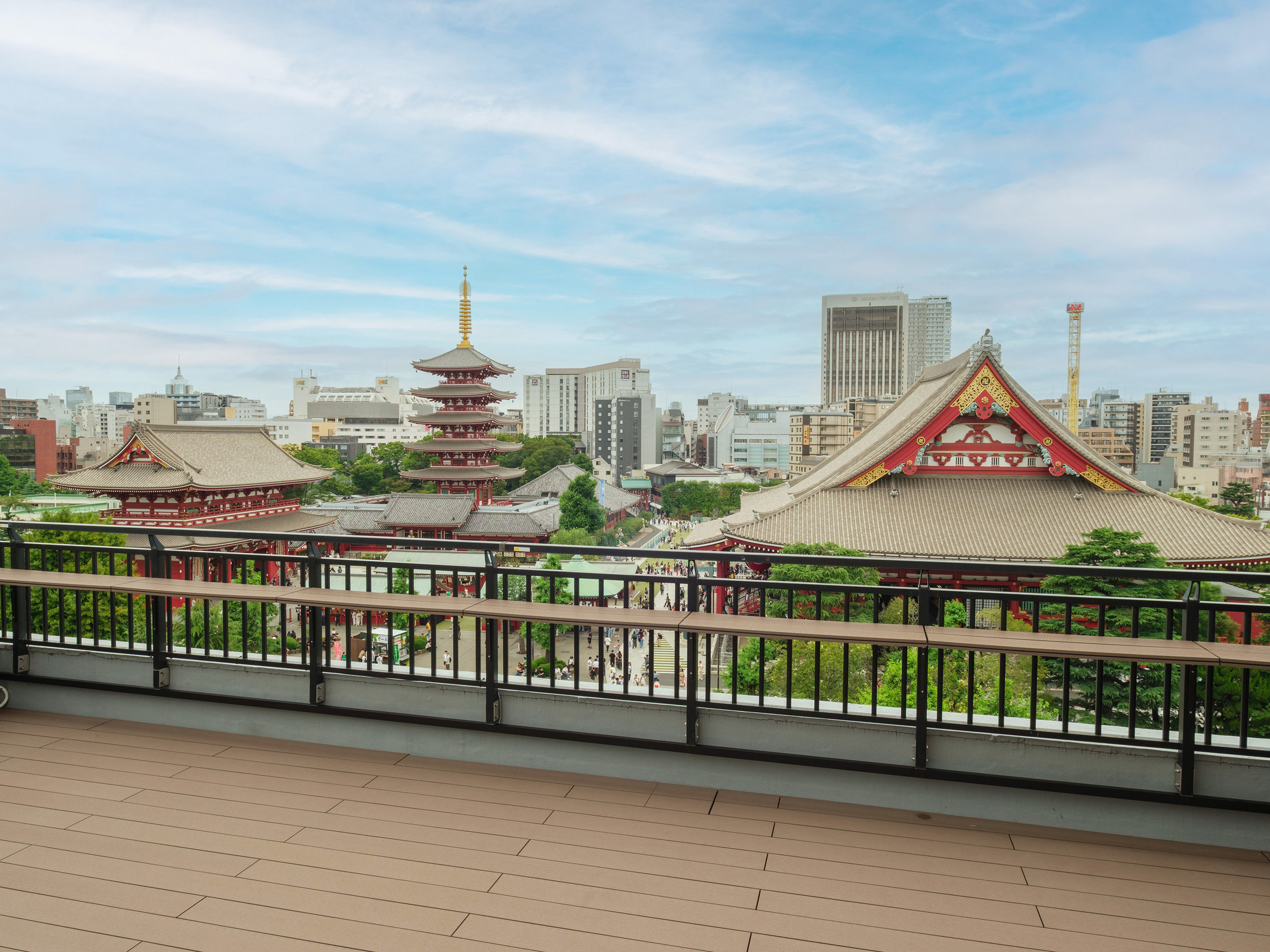 View from Roof Top
