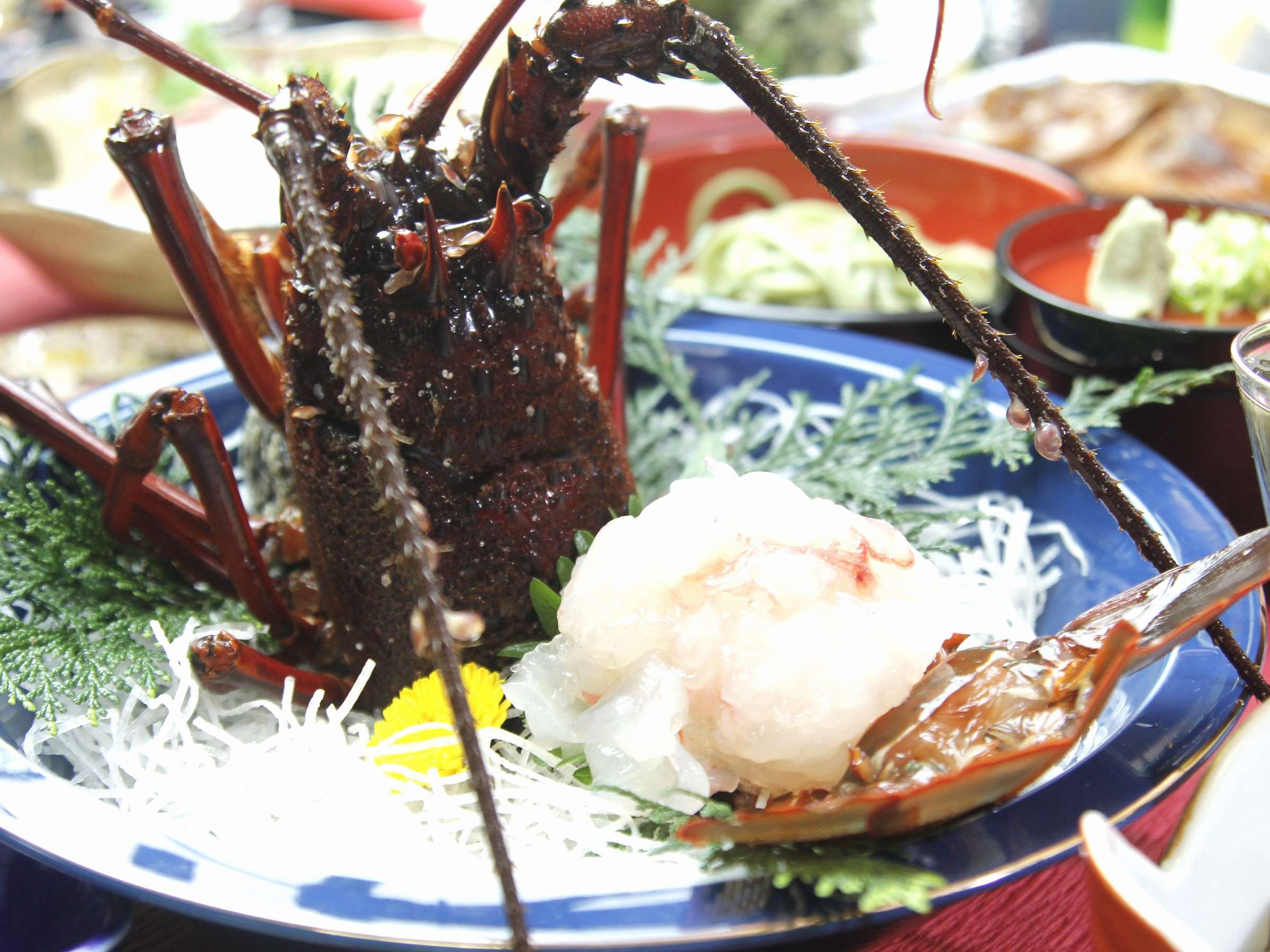 �������@�ɐ��C�V�̂�����