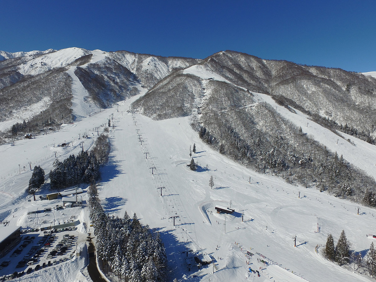 �y���Ӂz ���n�ܗ��Q�����f