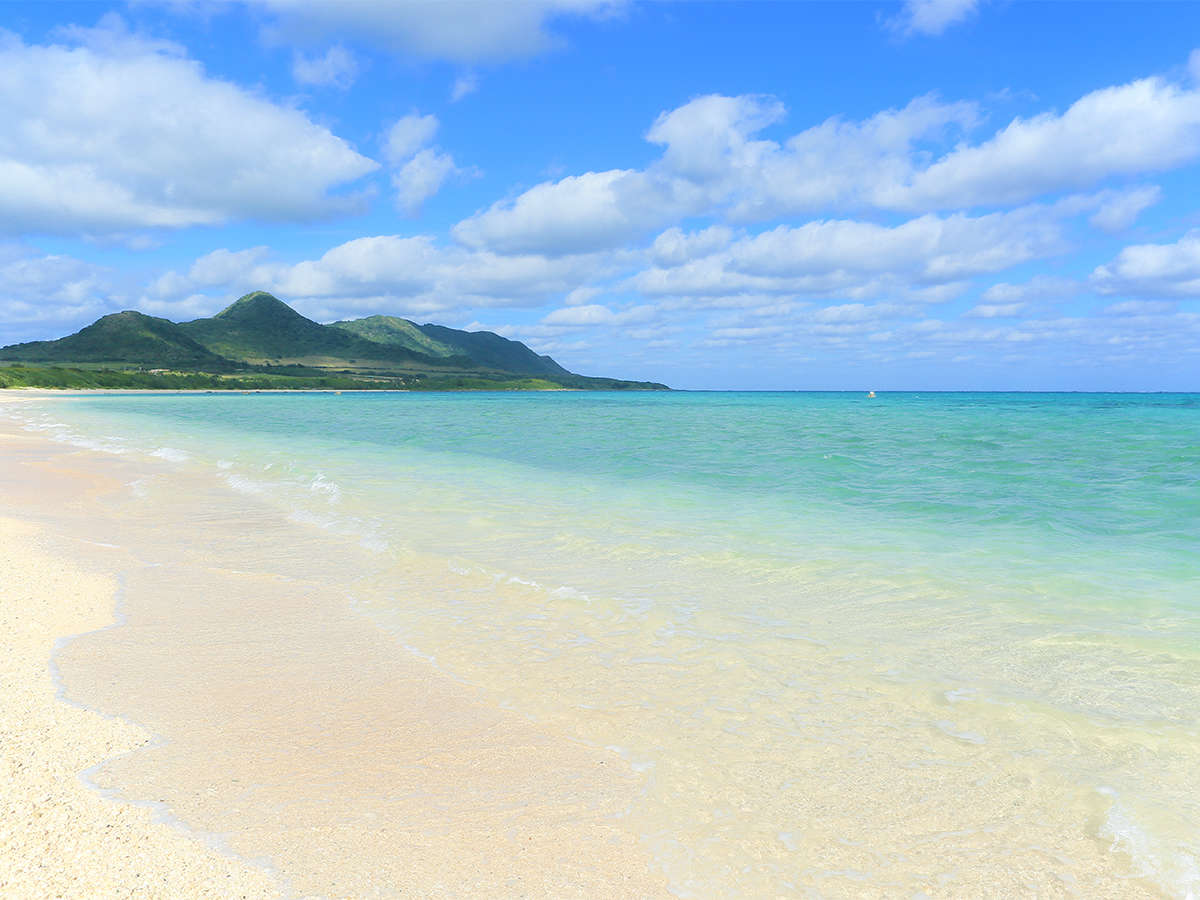 �z�e���̗��͂����r�[�`�I