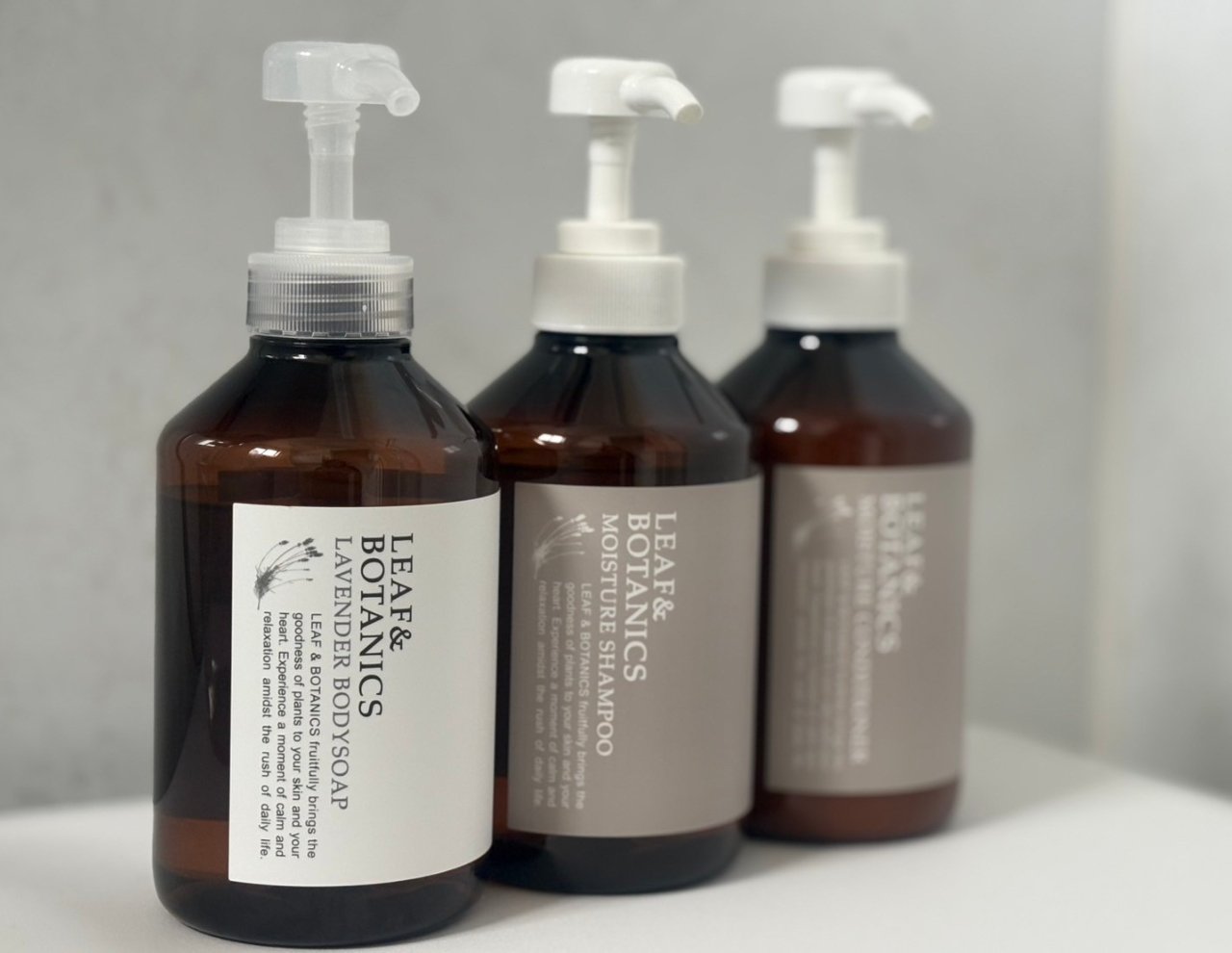 R̃XLPAuhLEAF&BOTANICS̃wAPAObY