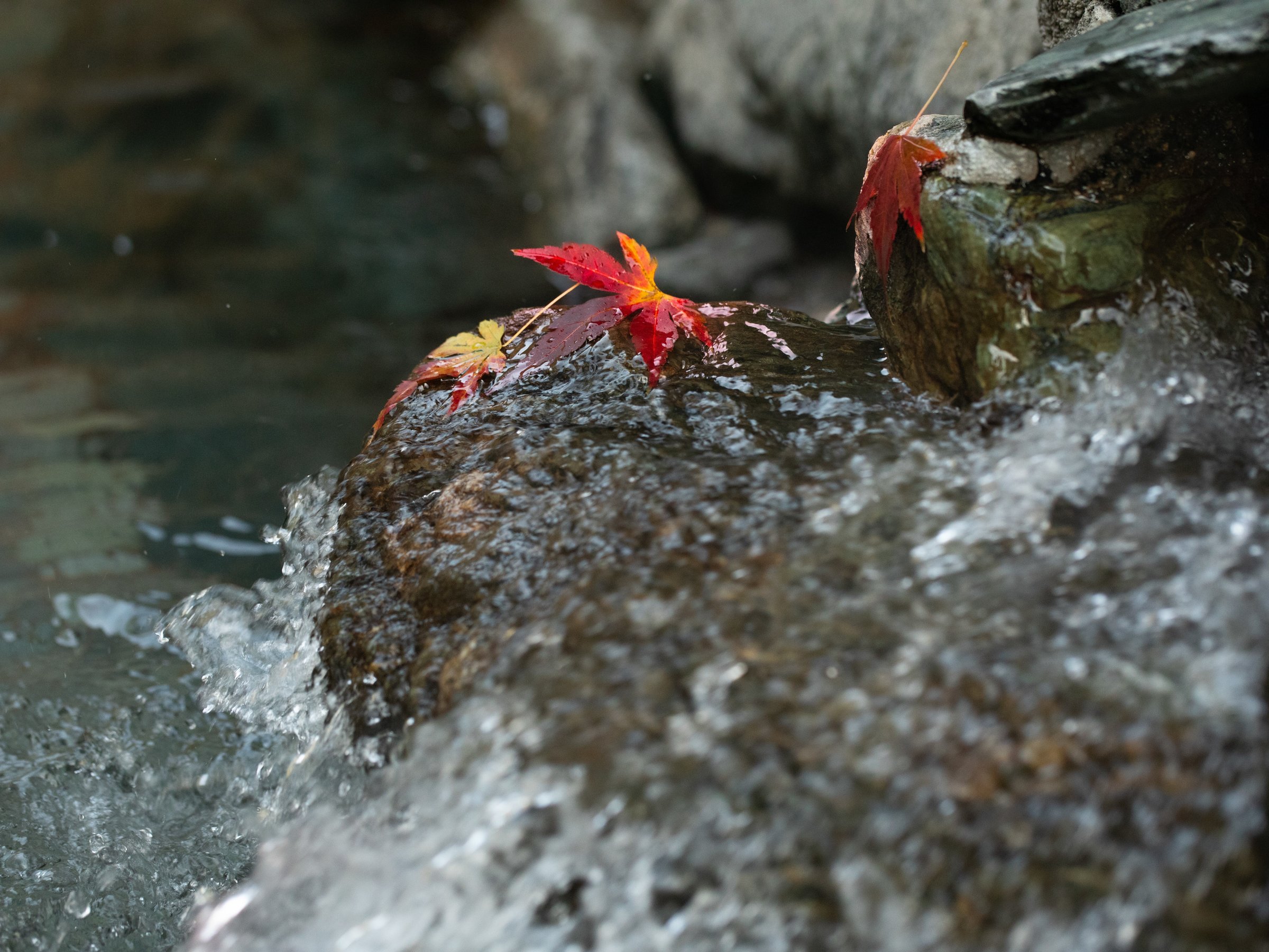 �j�q�I�V���C