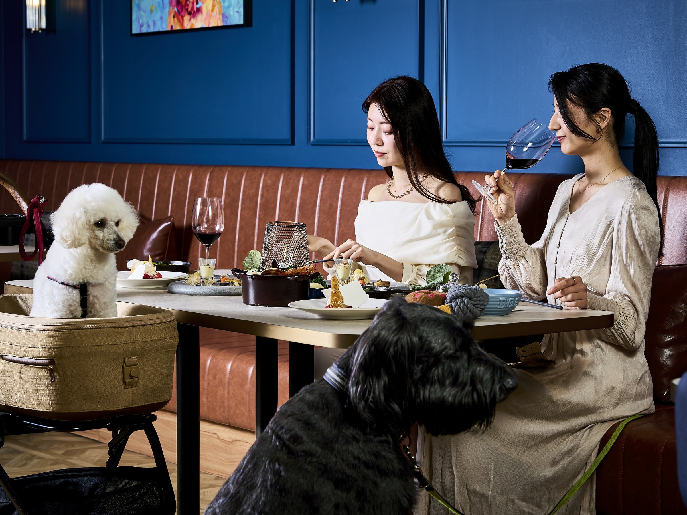 ���������ƈꏏ�̃f�B�i�[