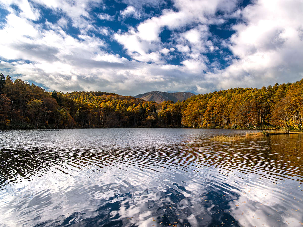 **yE]΁z]΁ŷ݂z͕W850mɂÂŔ΁BԖ50B