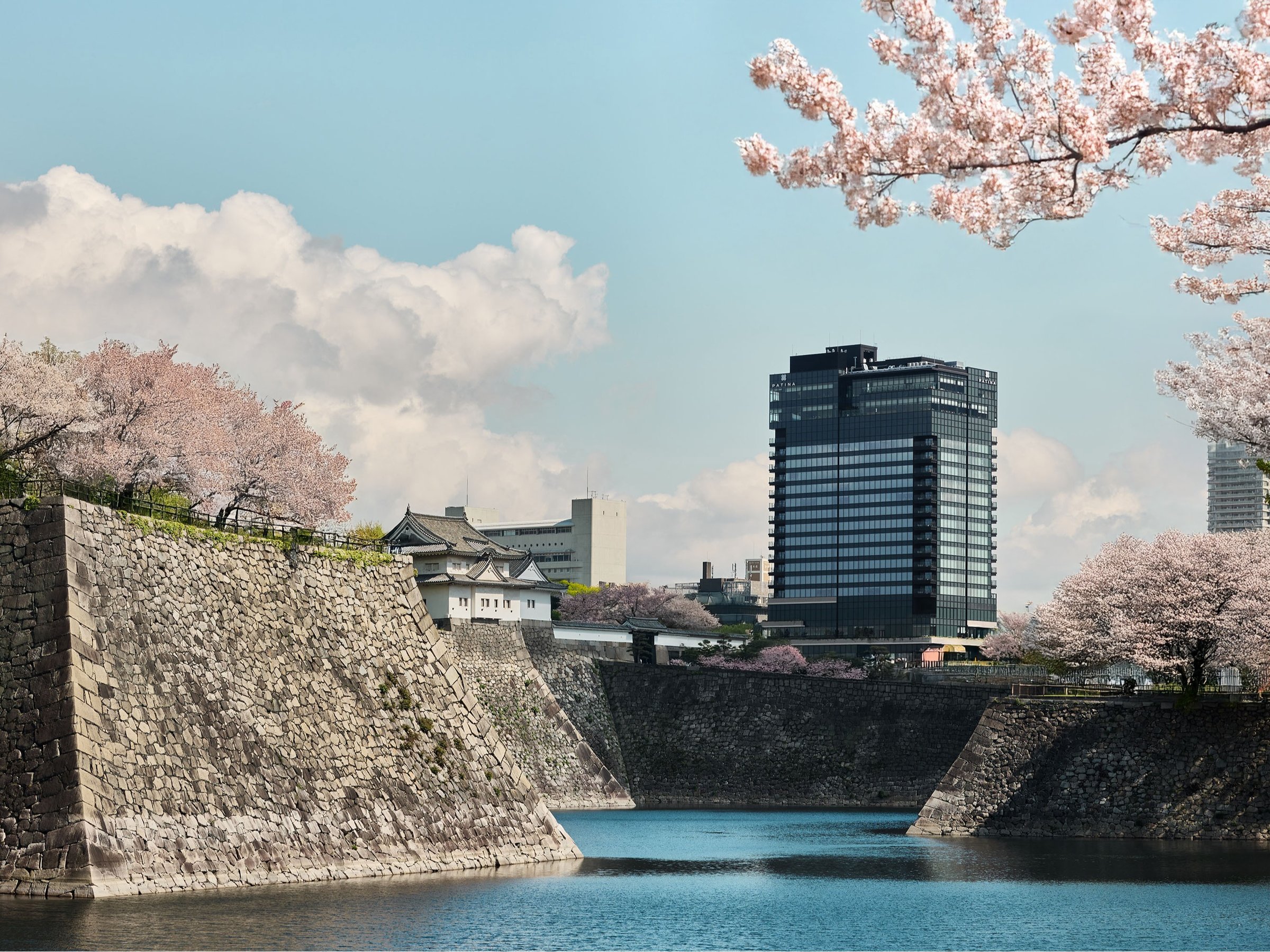 ���ƂƂ��ɘȂށA�p�e�B�[�i���