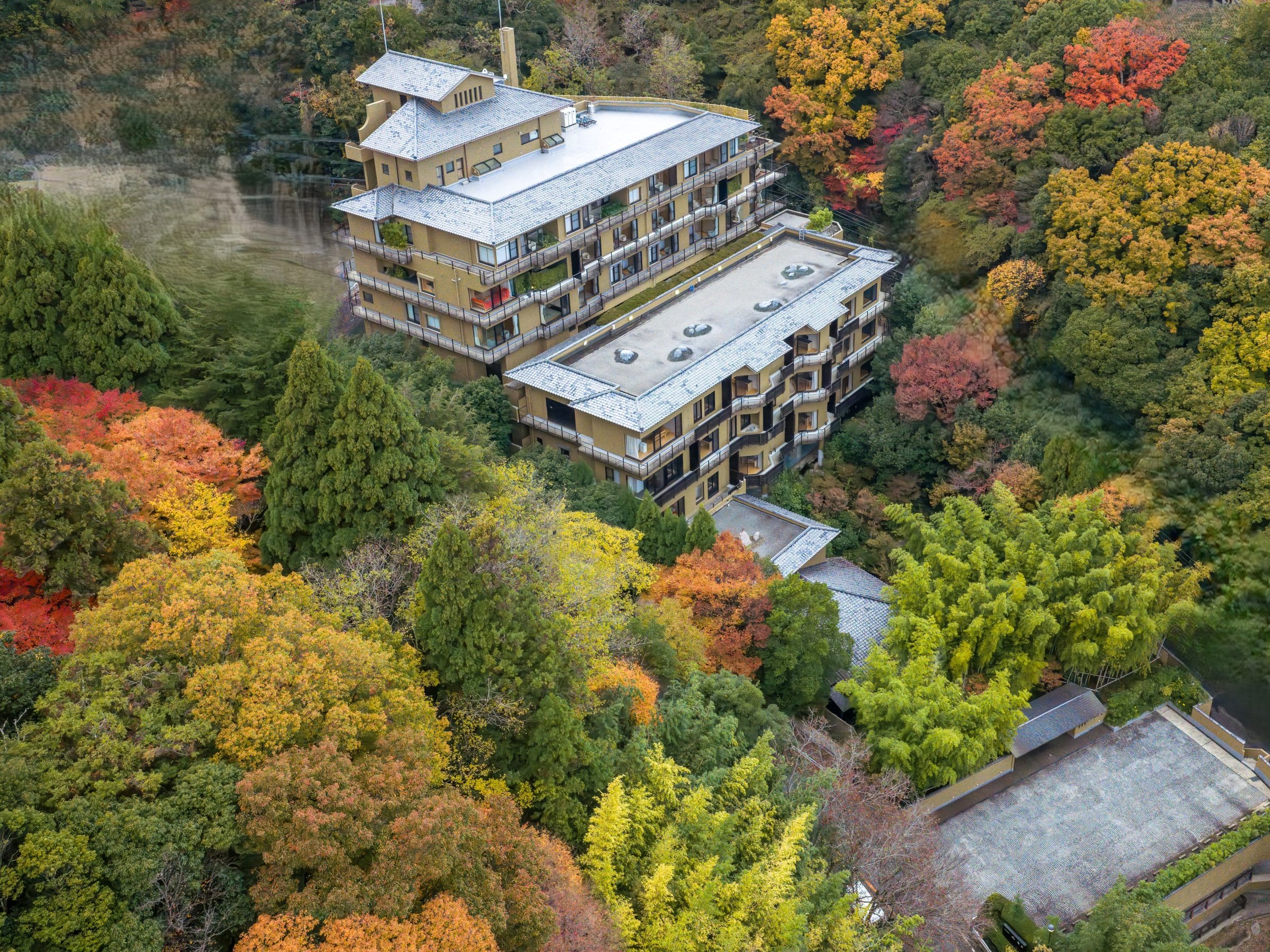 �G�߂Ɋ��Y�����R�̒��ŁA�㎿�Șa�̎��Ԃ��B