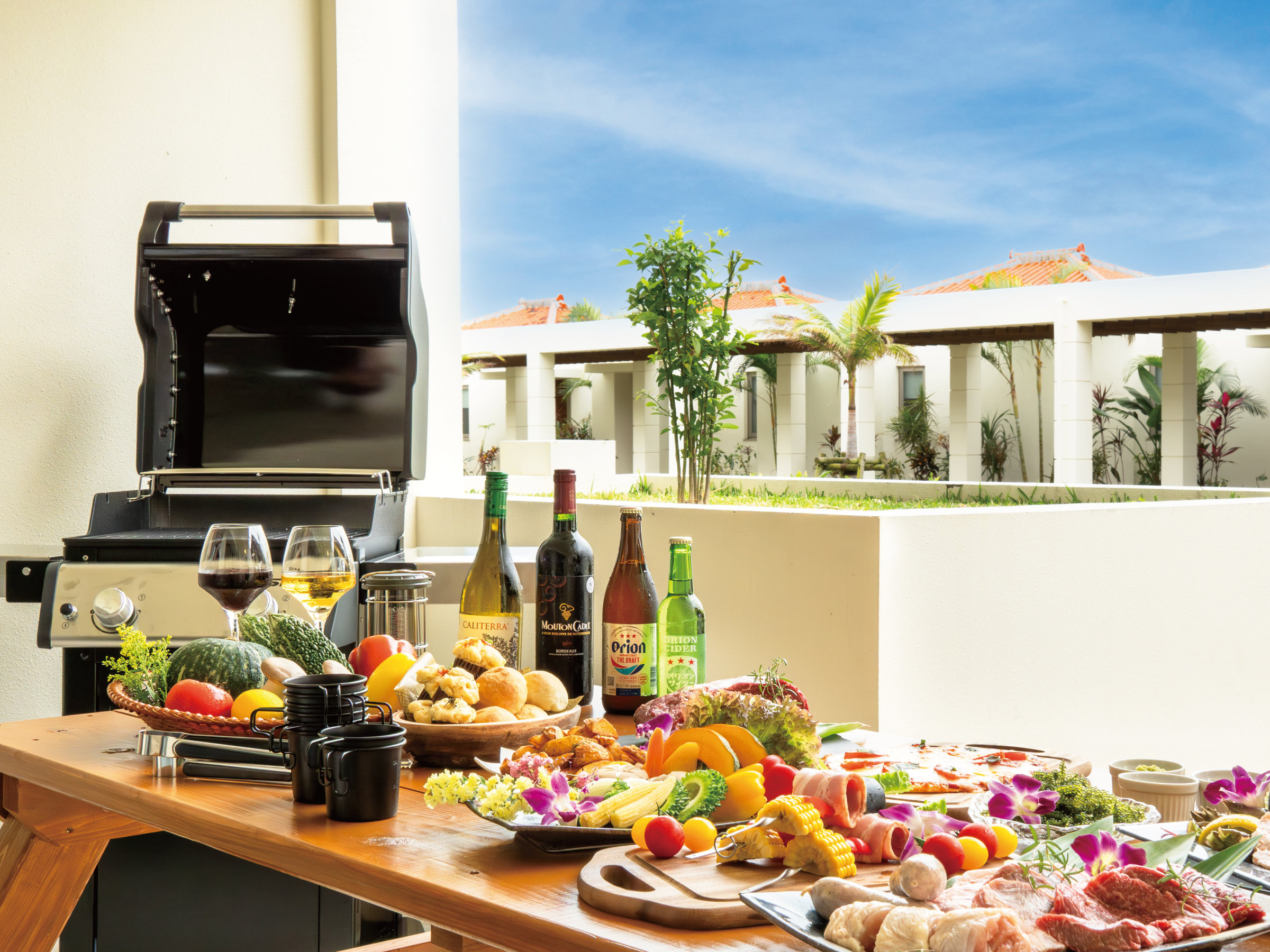 �e���XBBQ���y���߂�A�J���I�ȃ��]�l�b�g�q���i���C���[�W�j
