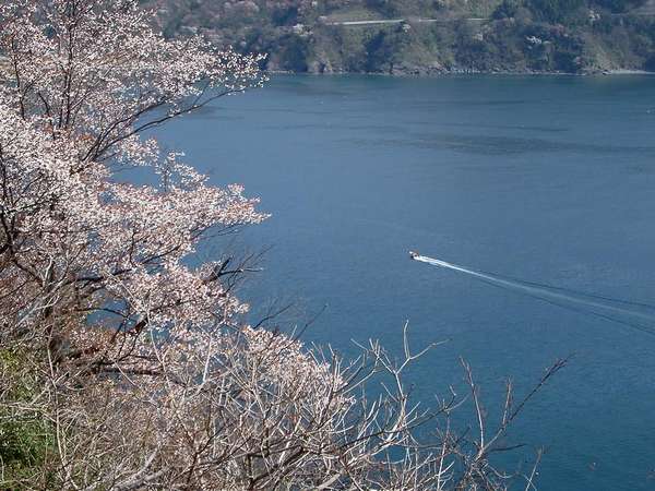 �_�q�̎R��