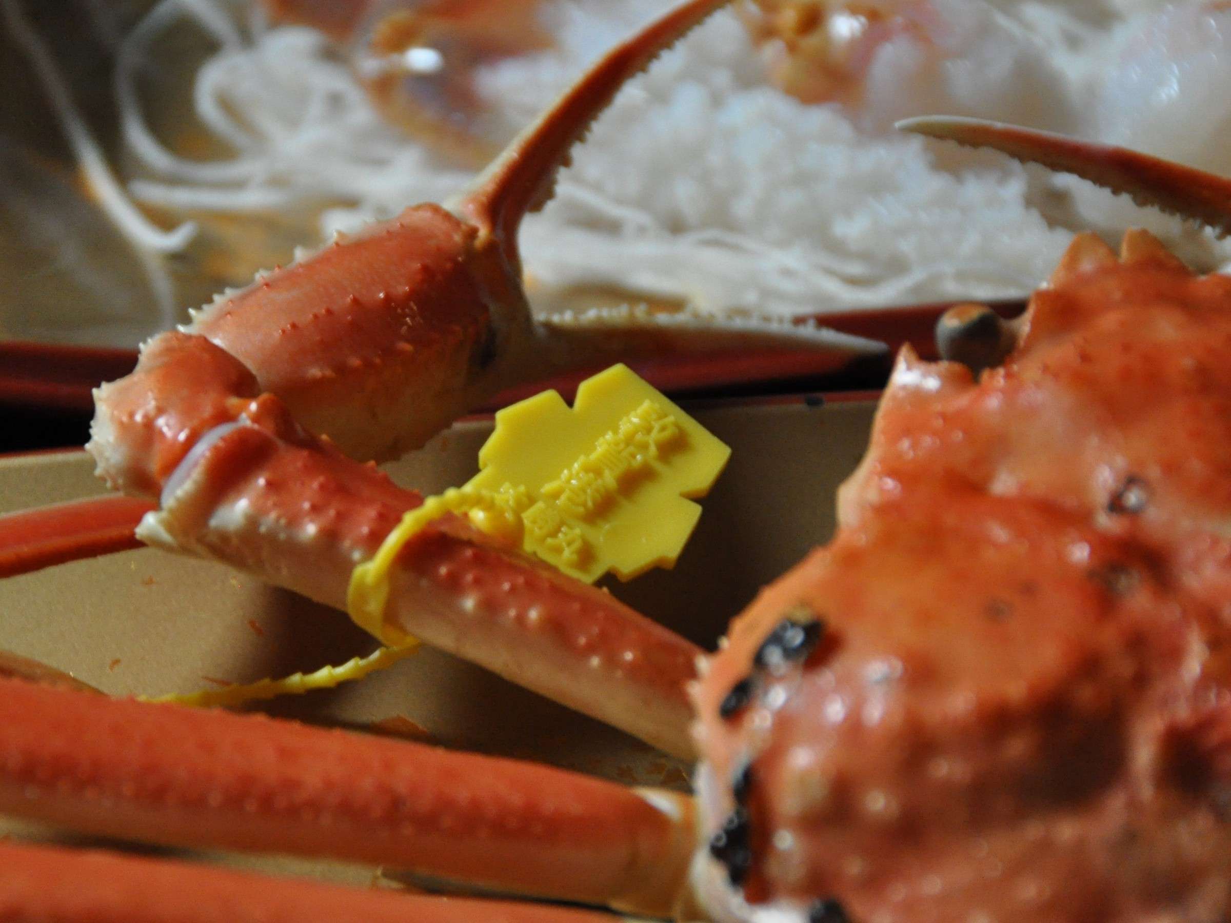 �y���^�O�z�u�����h�u�z�O���Ɂv�̏؂ł��鉩�^�O