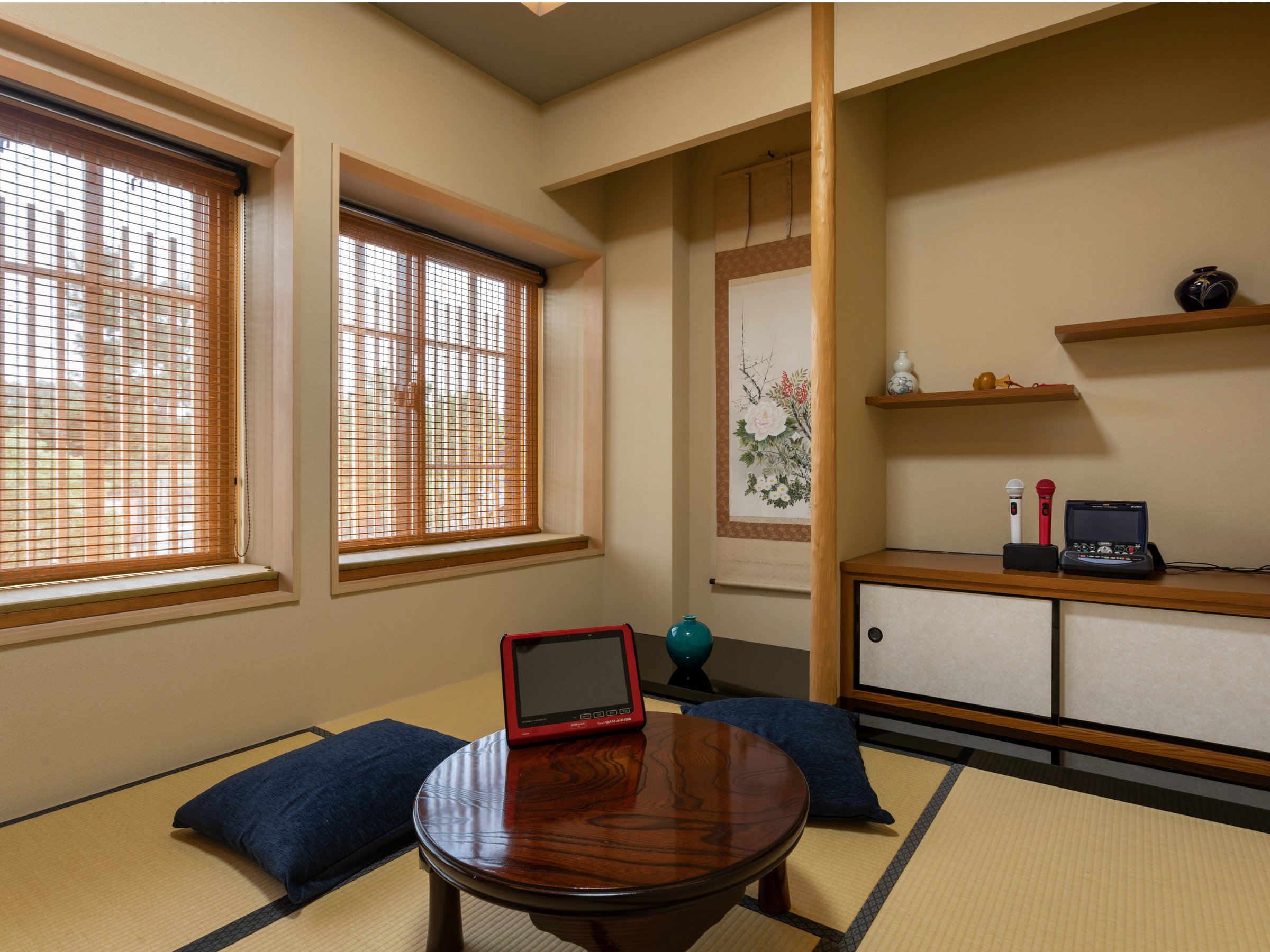 DAM�J���I�P���[��