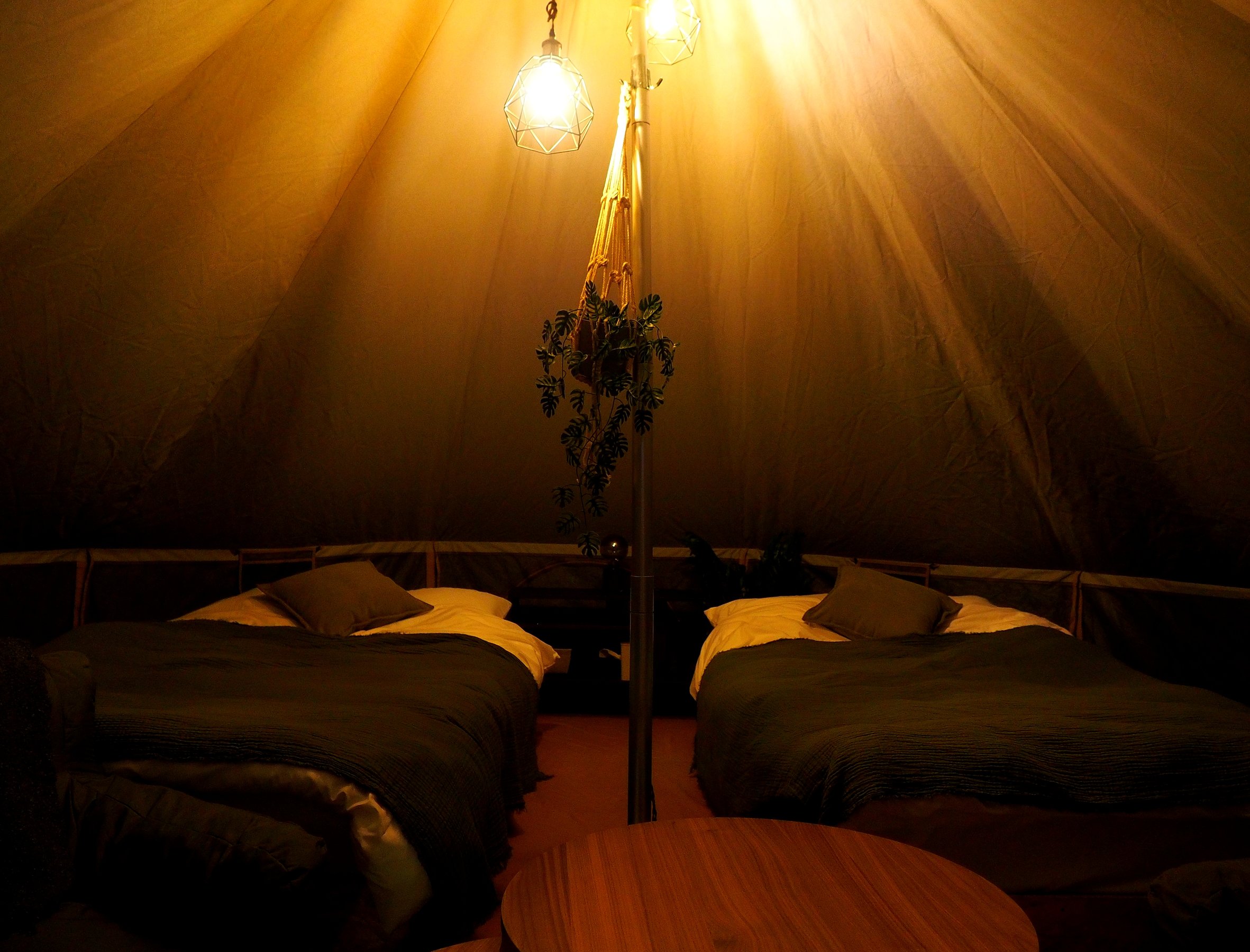 �O�����s���O�w�Ή��x