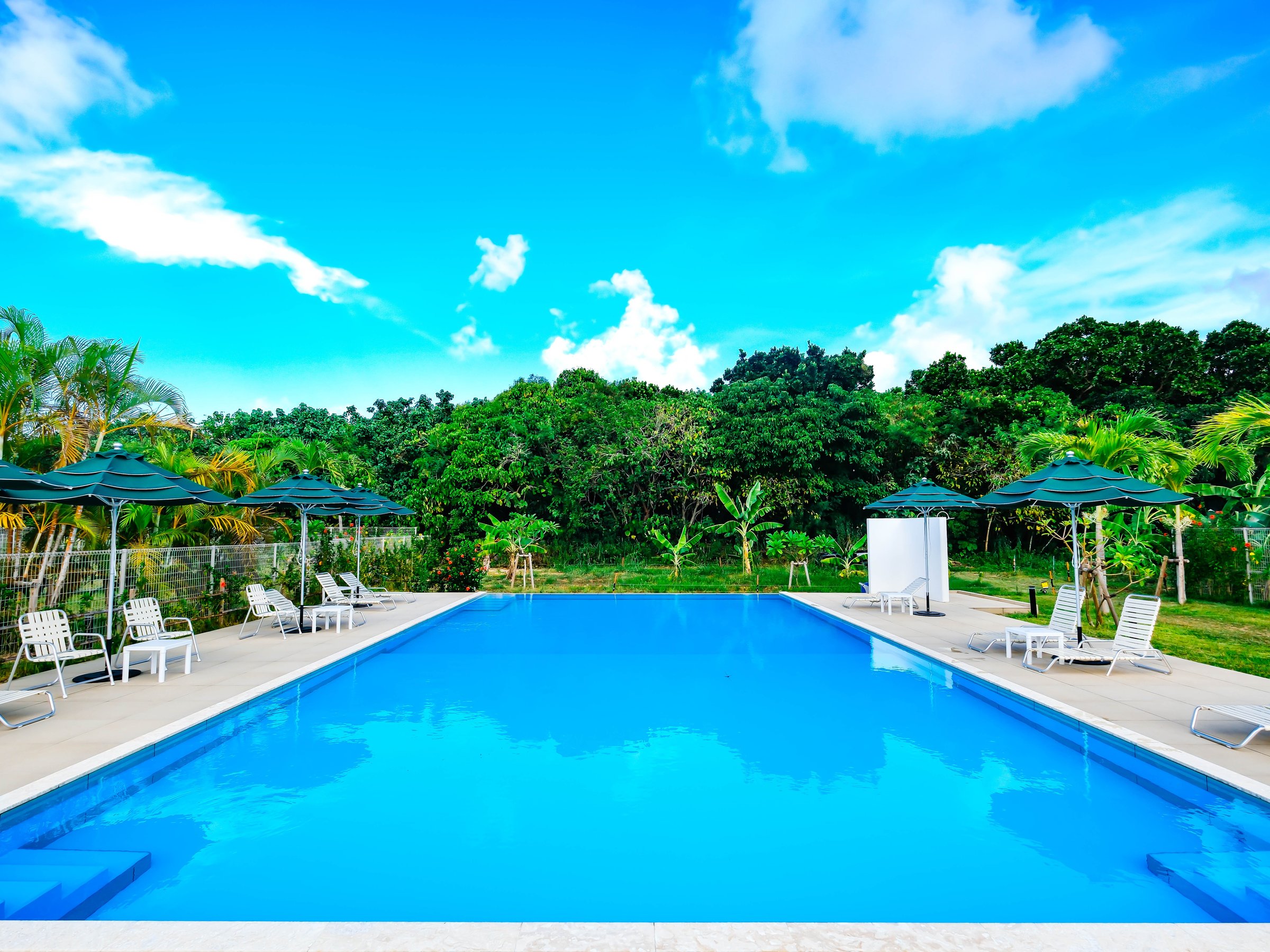 �썑�̋�Ɨ΂Ɉ͂܂ꂽ�J���I�ȃK�[�f���v�[��