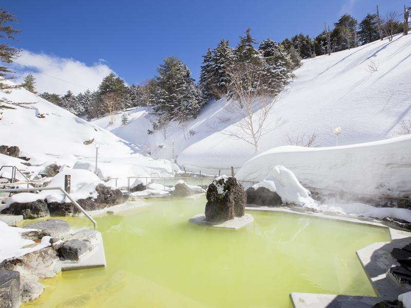 �y�Β�I�V���C�z��̒��ł̘I�V���C�B�~�Ȃ�ł͂̓��ʂȑ̌���