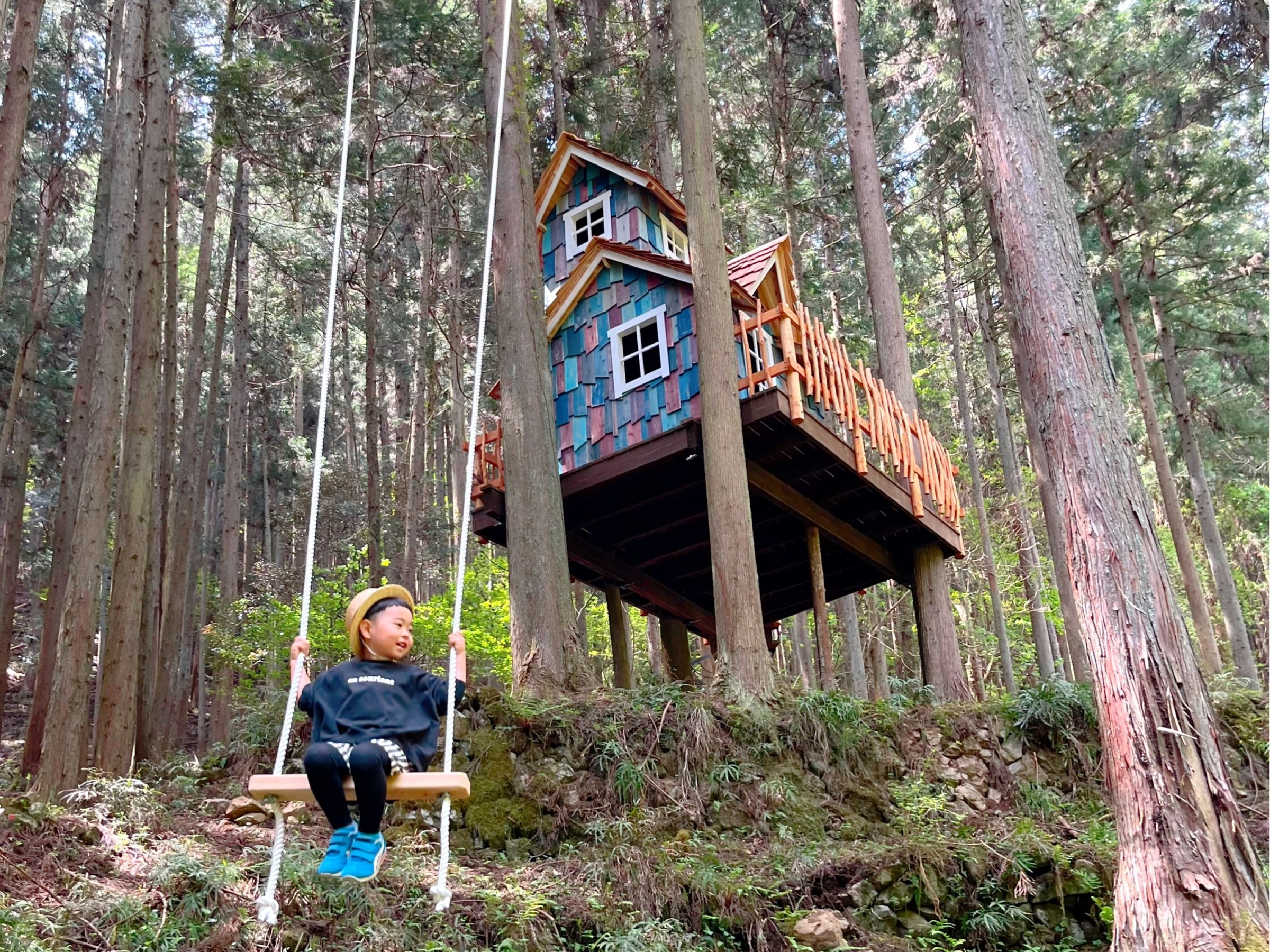 �X�̃u�����R�A�c���[�n�E�X�͂��q���܂̗V�я�ɂ�