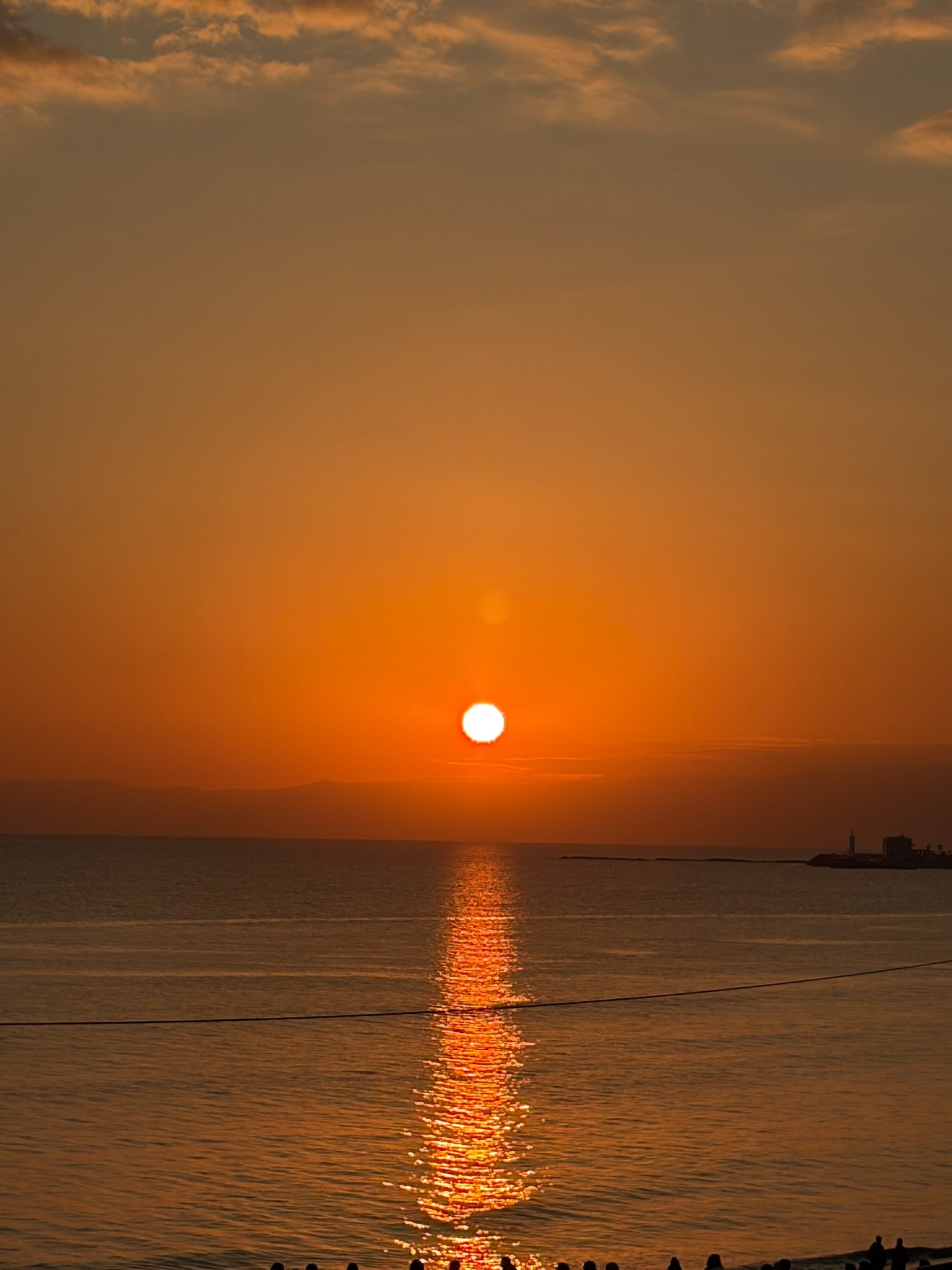 �T���Z�b�g�r���[