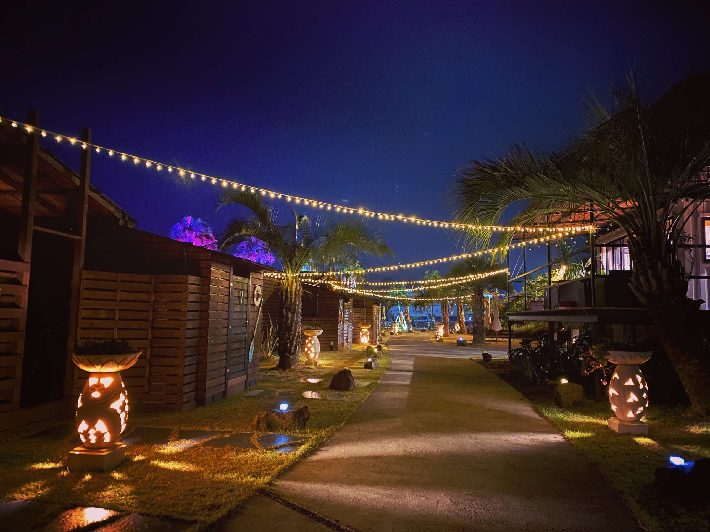 ��̎U�����B�������������O�ɏo��Ƃ����͕ʐ��E�􂱂̏������؂Ȃ��Ȃ��ƕ����Ă݂Ắc