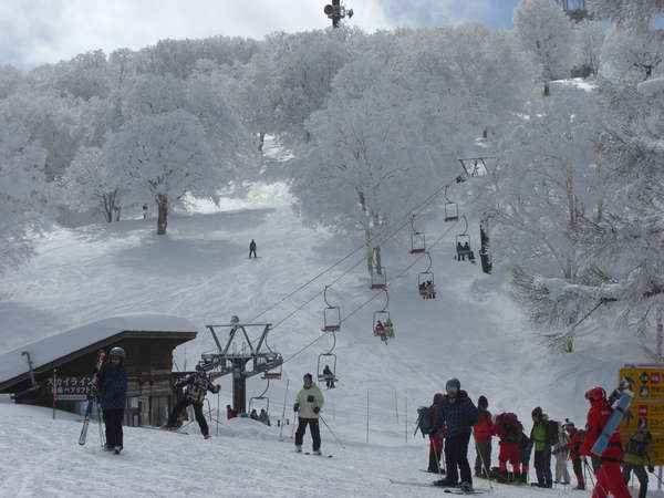 ����S���h���R���w�t��