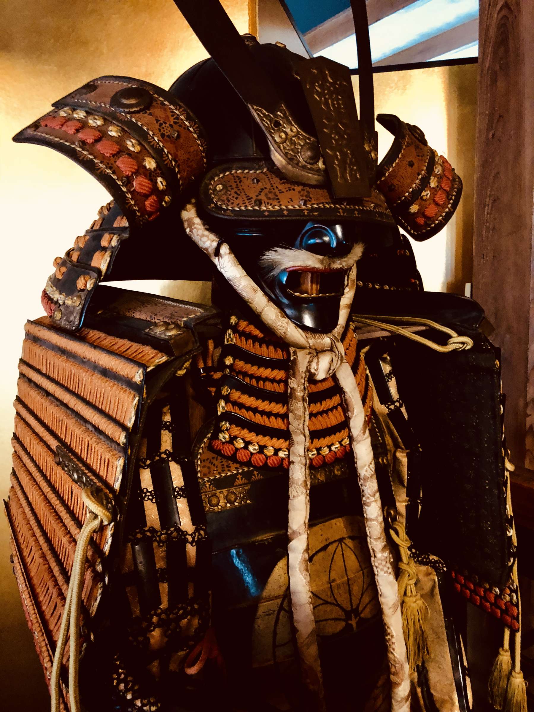 ̑؂ȏꏊB