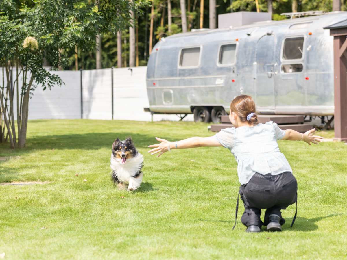 �����ƃm�[���[�h�ŉ߂������S�v���C�x�[�g��ԁB