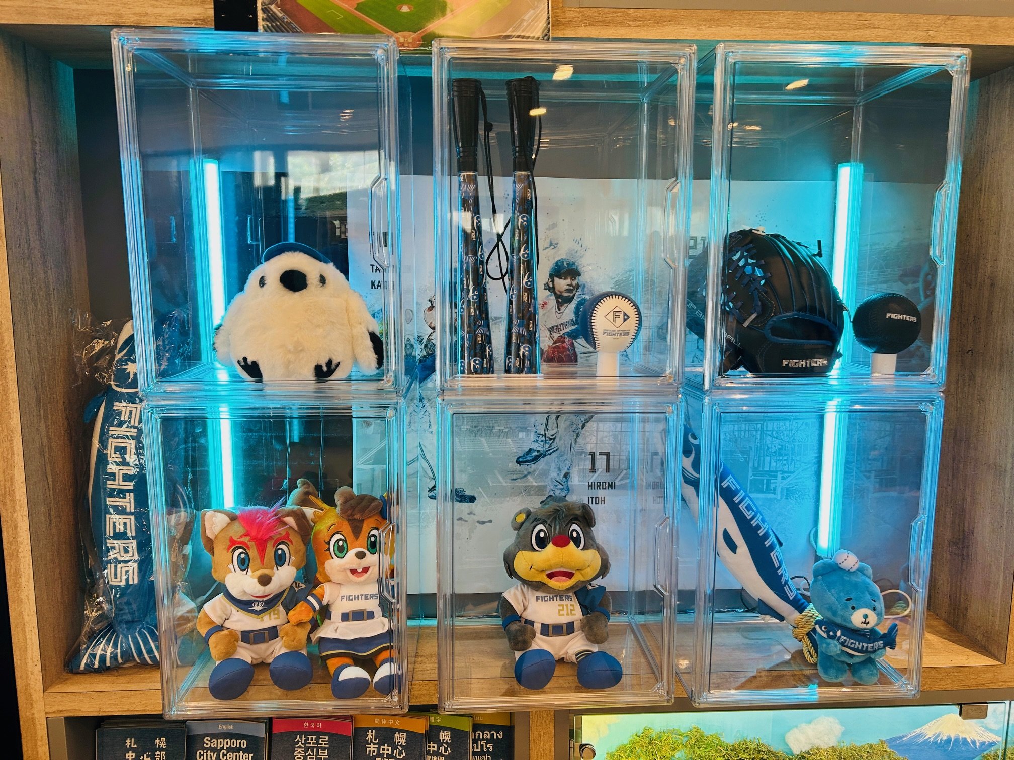 r[@W{nt@C^[YObY