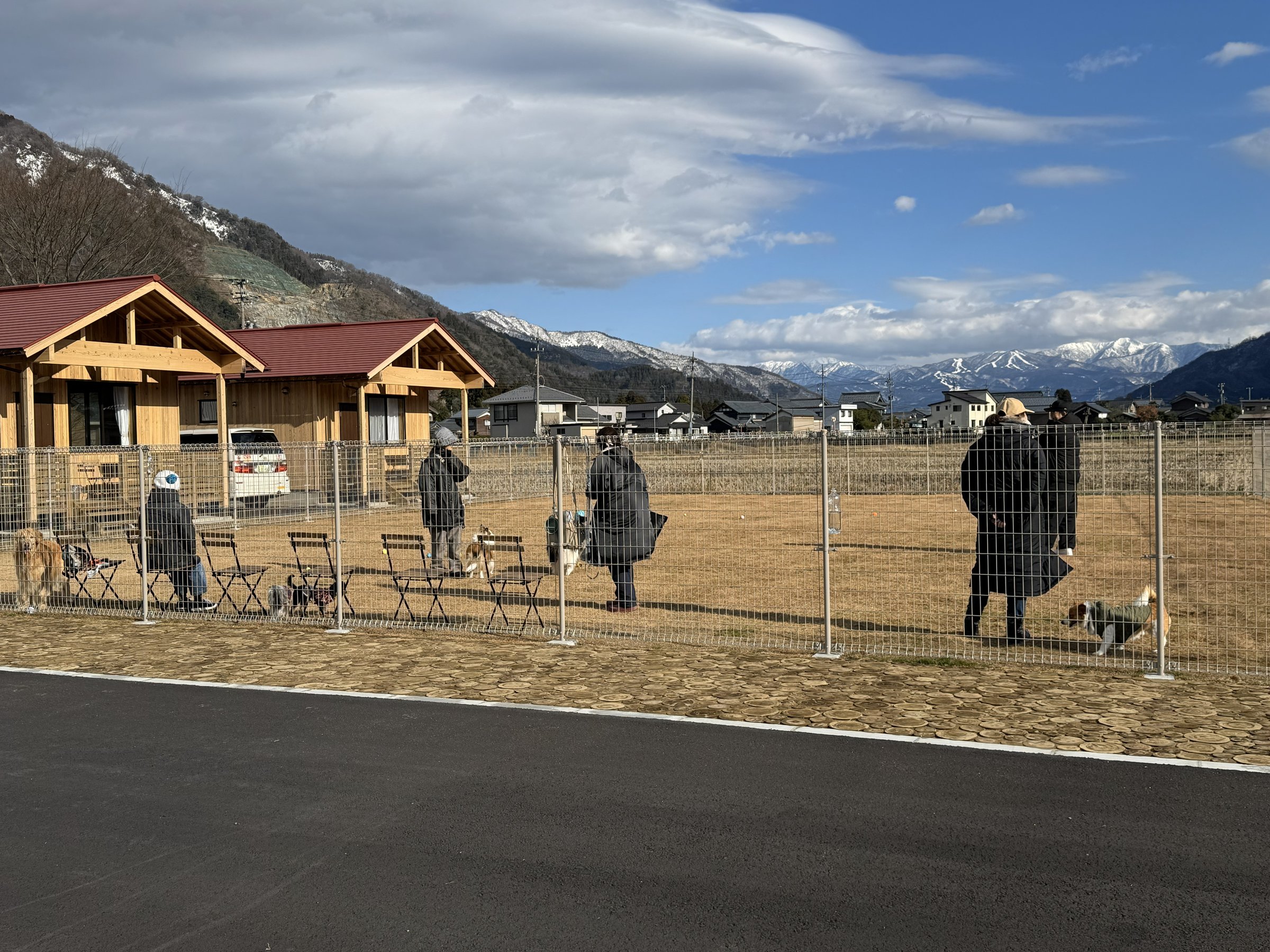 �y�h�b�O�����z��400�u�̍L���œV�R�ŁI�n���̂��q����Ƃ̏��������o���邱�Ƃ���