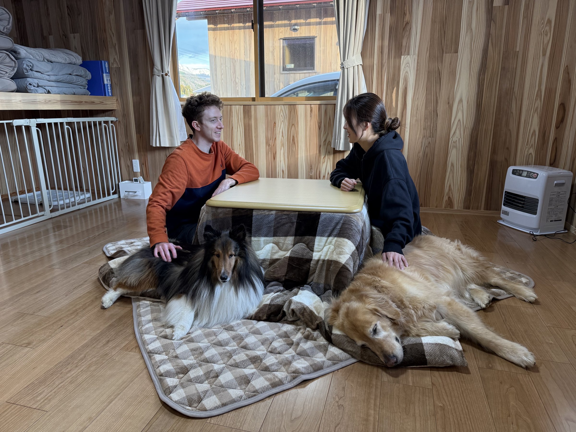 �������ł����났��h�b�O�����ł����ς��V�񂾃����������A����l�l�̉��ł����Ƃ��