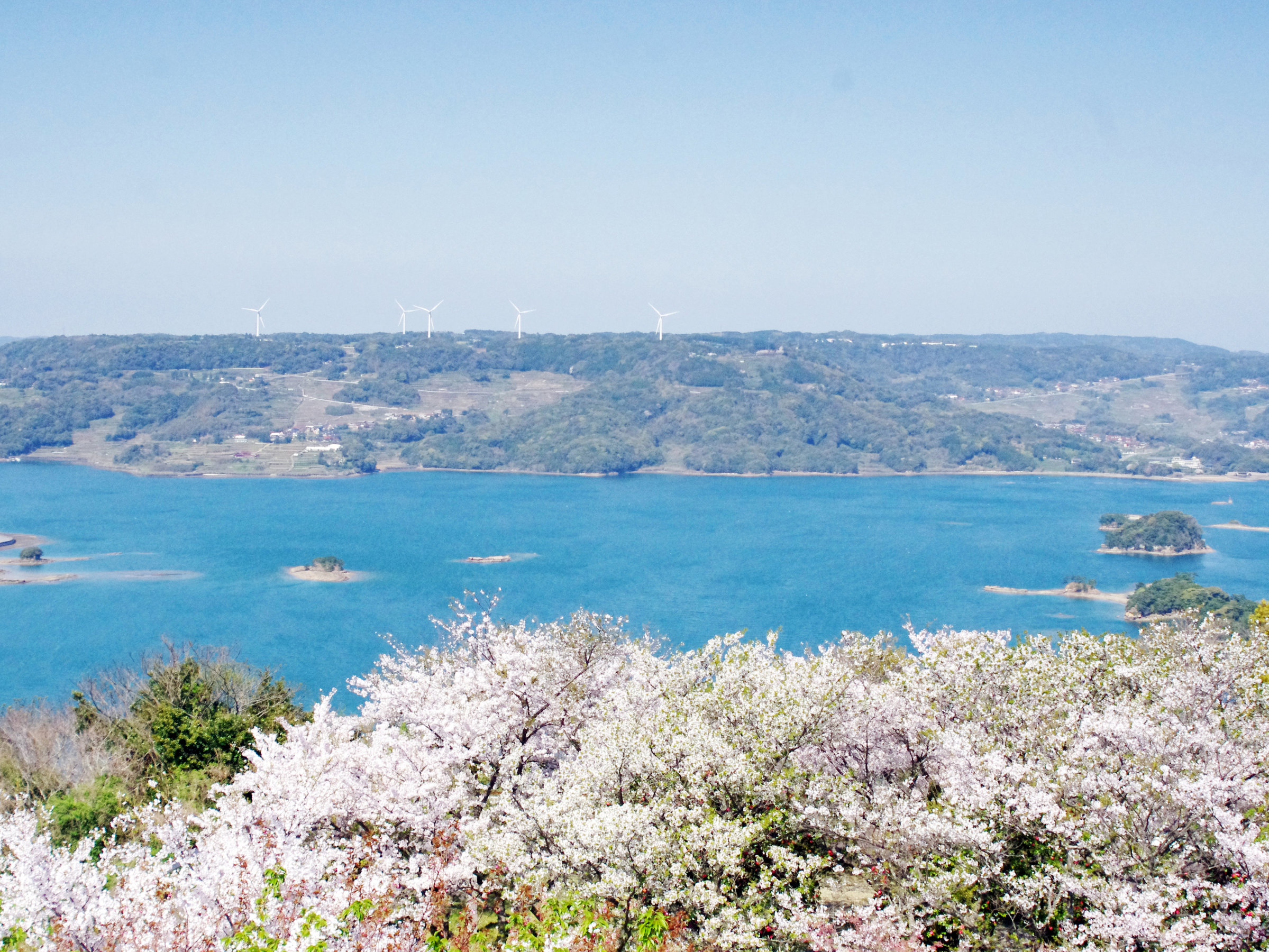 �y�ό����z��R���� �W�]��i���{�݂��炨�ԂŖ�10���j���̖����Ƃ��Ă��l�C������܂��B