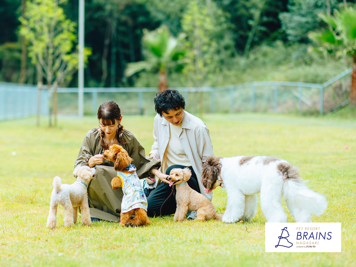 �y�h�b�O�����z���[�h�����Ŏ��R�ɑ�����܂��B�����ƈꏏ�Ɏv��������V��ł���������