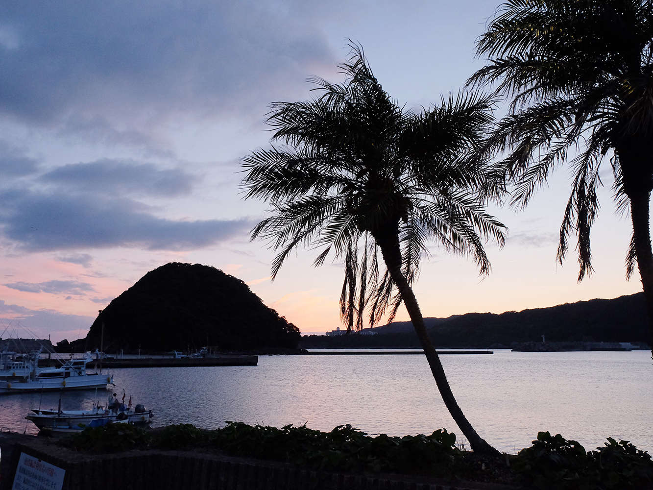 ���ӌi�F�F�C�O���v������[�i�𐥔񂲗����������I