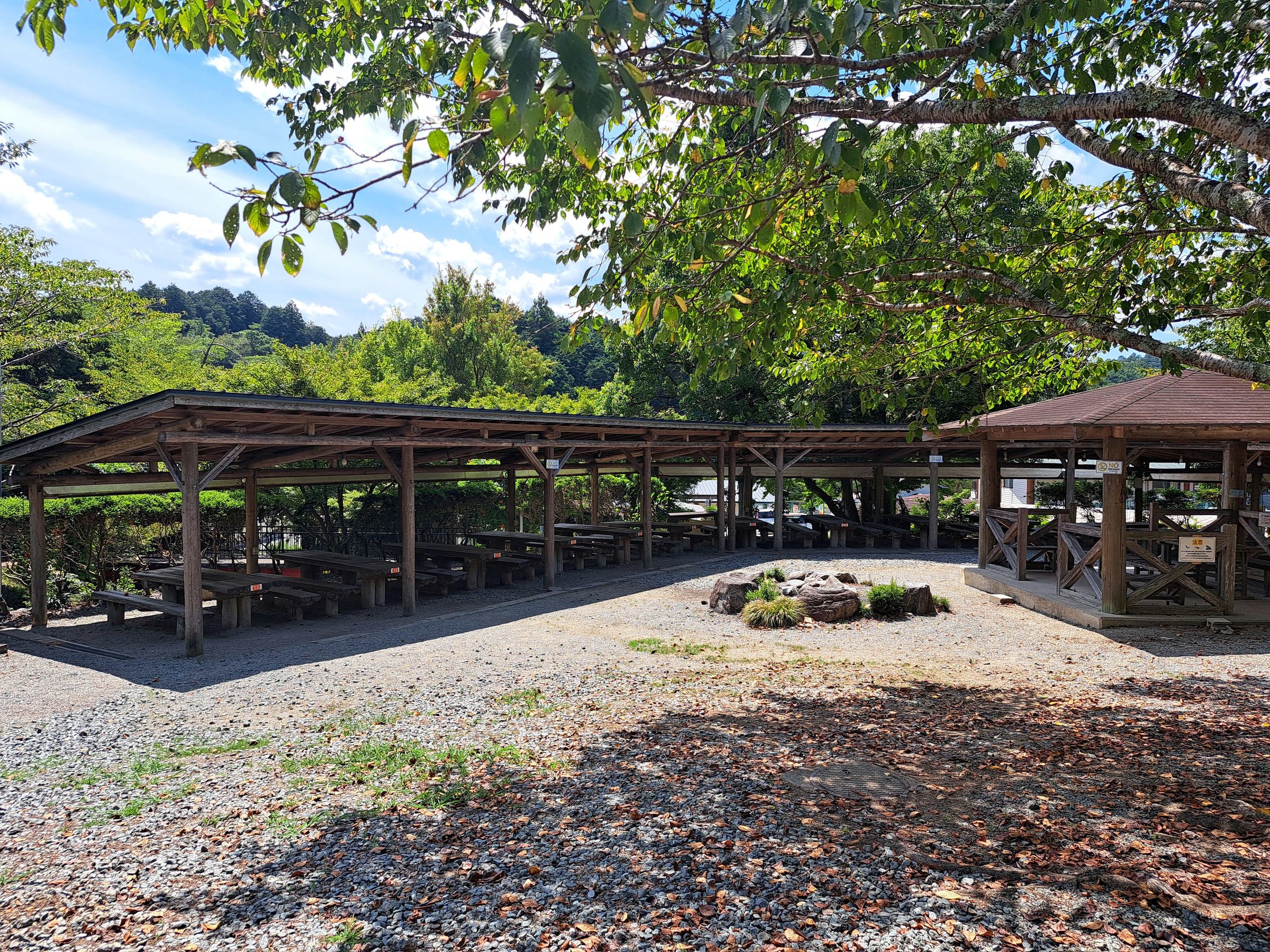 �a�a�p�n�E�X�@������a�a�p�n�E�X�͑S�ĉ����t���ł�