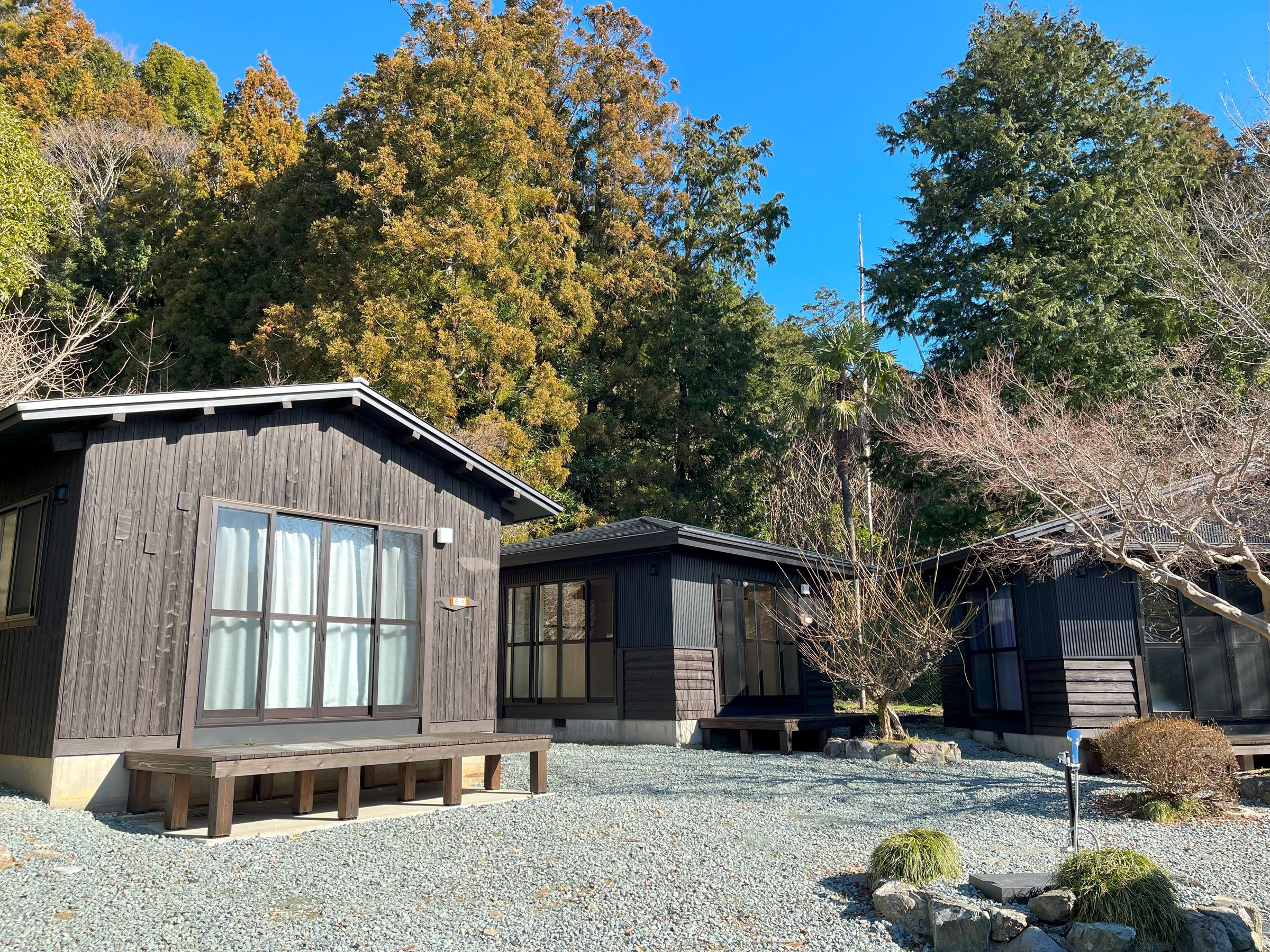 �΂̖؁X�Ɉ͂܂ꂽ���b�W