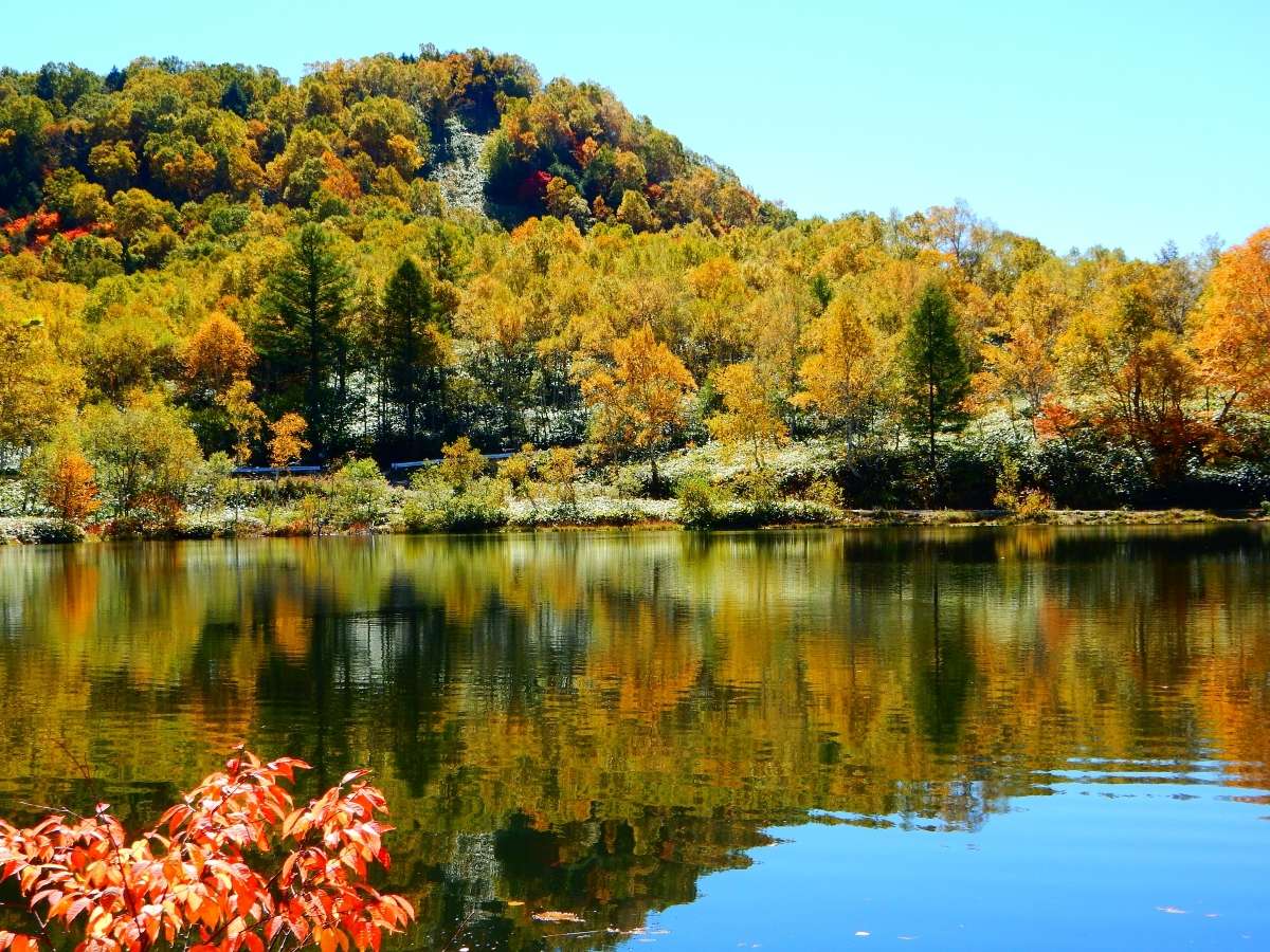 �u�ꍂ���ɔ������H�������B�u�₩�ȍ����̏H�����y���݂��������B