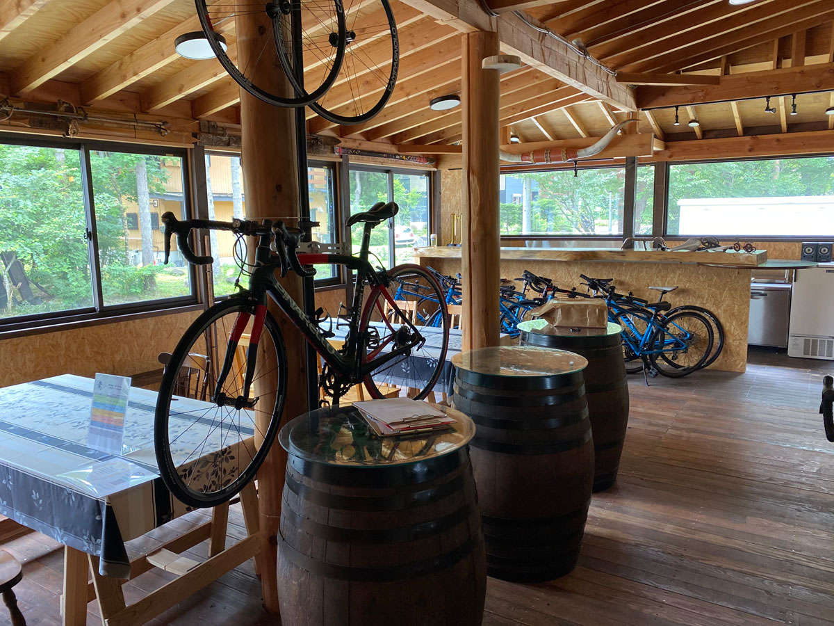 �T�C�N�����D�Ƃ����̌e���̏��