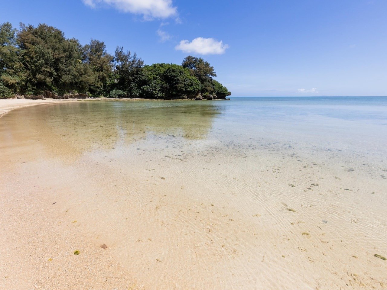 �C�܂œk����1���I �Ő��̐�ɁA���₩�ȊC���L�����Ă��܂��B