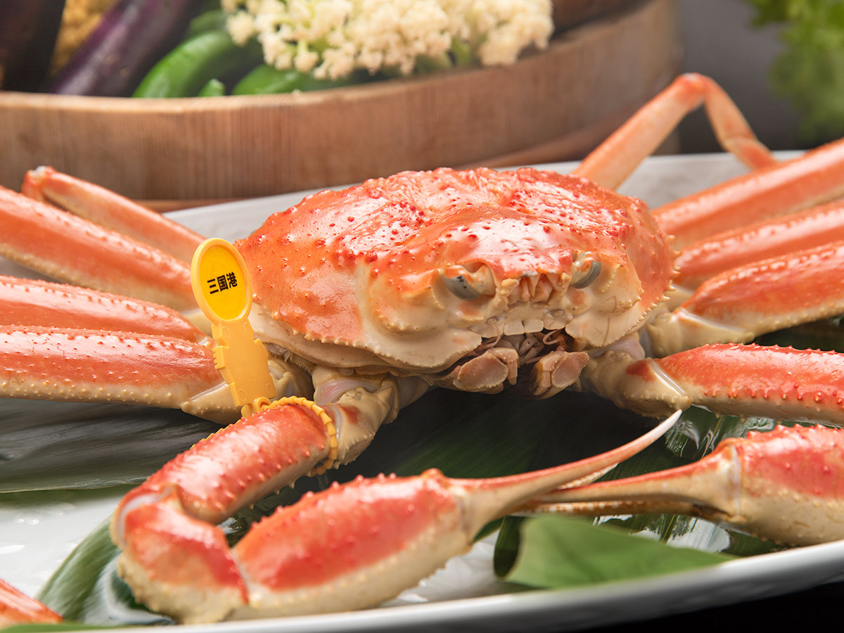 �y�u�����h�z�O�I�z�l�ꂽ�Ă̐V�N�ȊI�́A��ɉ^�΂��܂Ŋ����Ă���̂őN�x���Ⴂ�܂��I