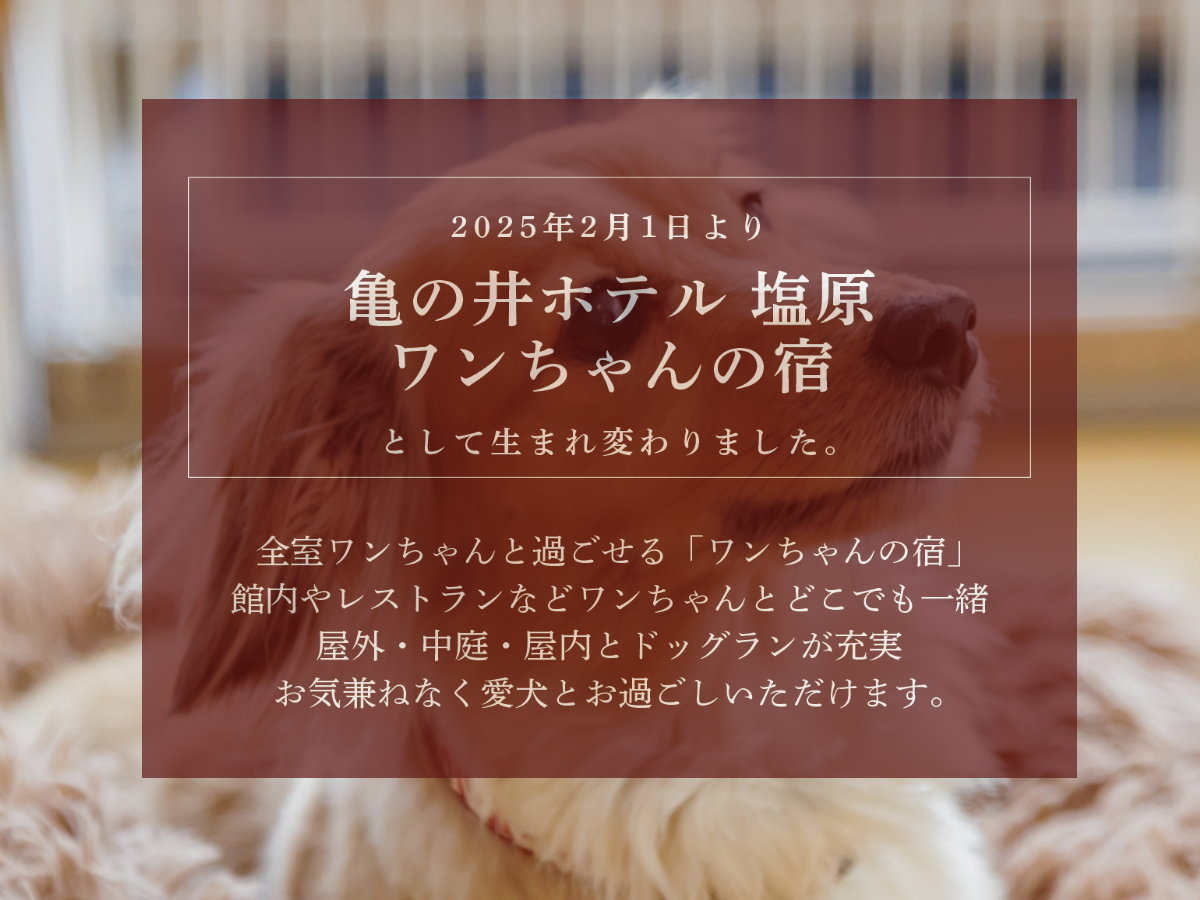 ȕhvփj[A܂