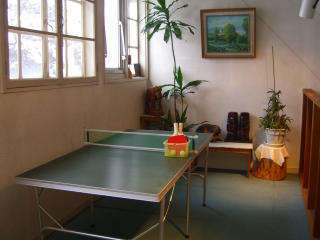 �R�K�v���C�X�y�[�X�싅�ŗV�ڂ��B