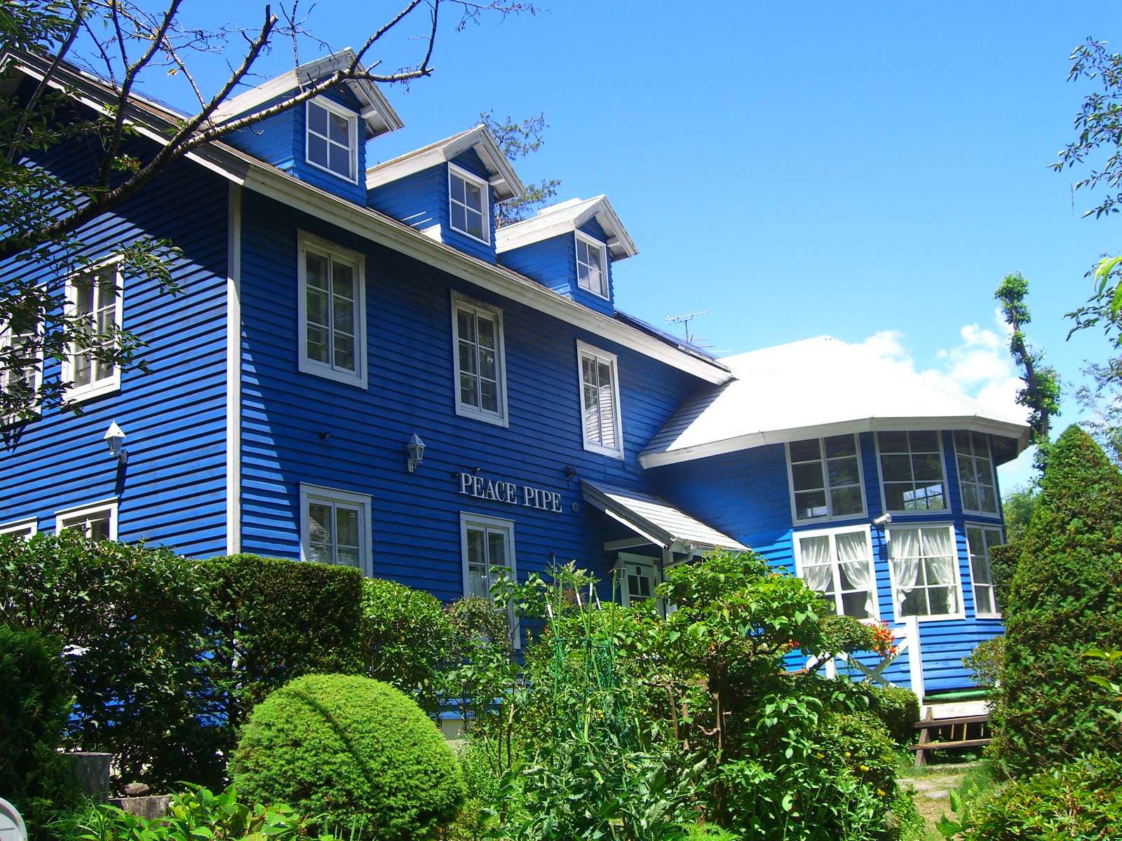 �󂪂悭������