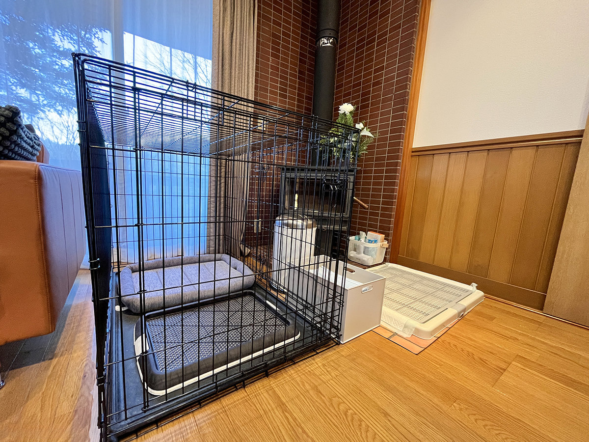 #�y�b�g�A���j�e�B�@�y�b�g�p�̃A���j�e�B���[�����Ă���܂�