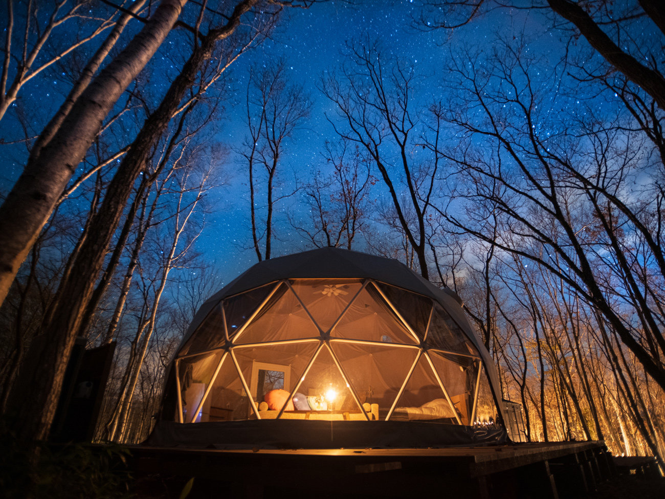 ����̉��ő�؂Ȑl�ƌ�炢�̂ЂƎ���