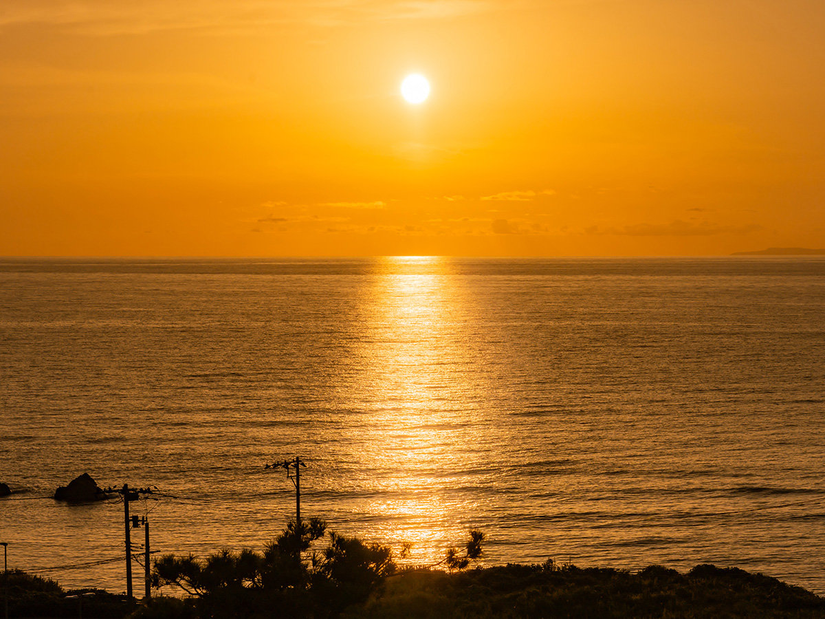 *�V�C���ǂ���Αf���炵���[�����������������܂��I