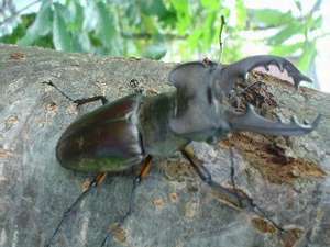 �~���}�N���K�^�ł�