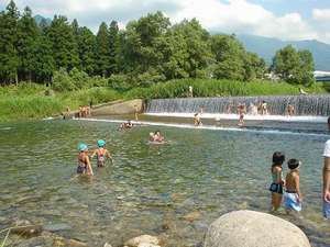 ��ŉj���̂͋M�d�ȑ̌��B�����ዾ�ŋ��������悤�I