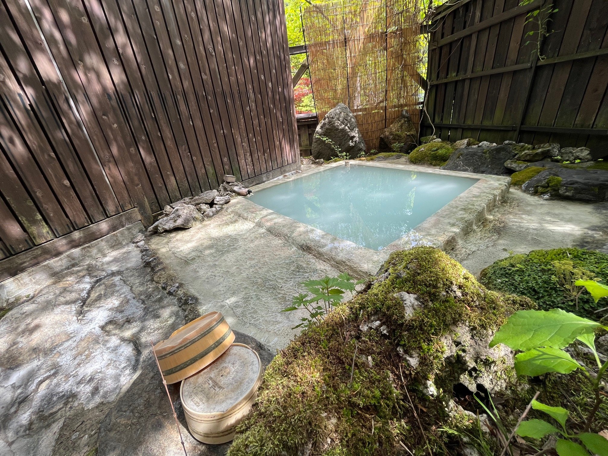 ₳ؘRɐSaށAݐؘIVCuRԂǂv